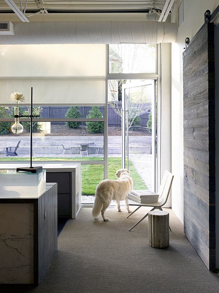 Pursley-Dixon-Architecture-office-tour-windows.