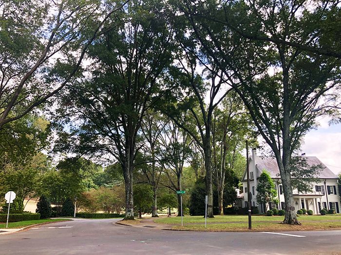 colville charlotte house