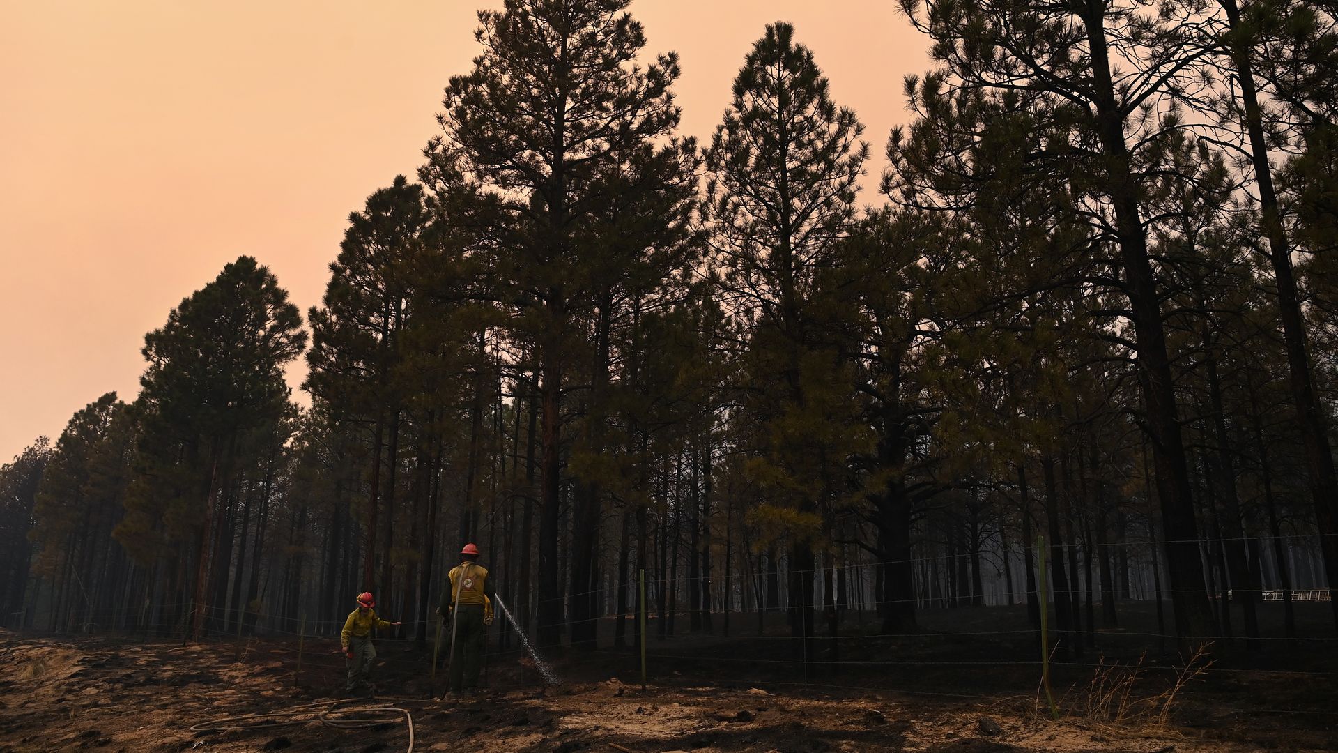 Firefighters putting out a hotspot from a wildfire near Mora, New Mexico, on May 13.