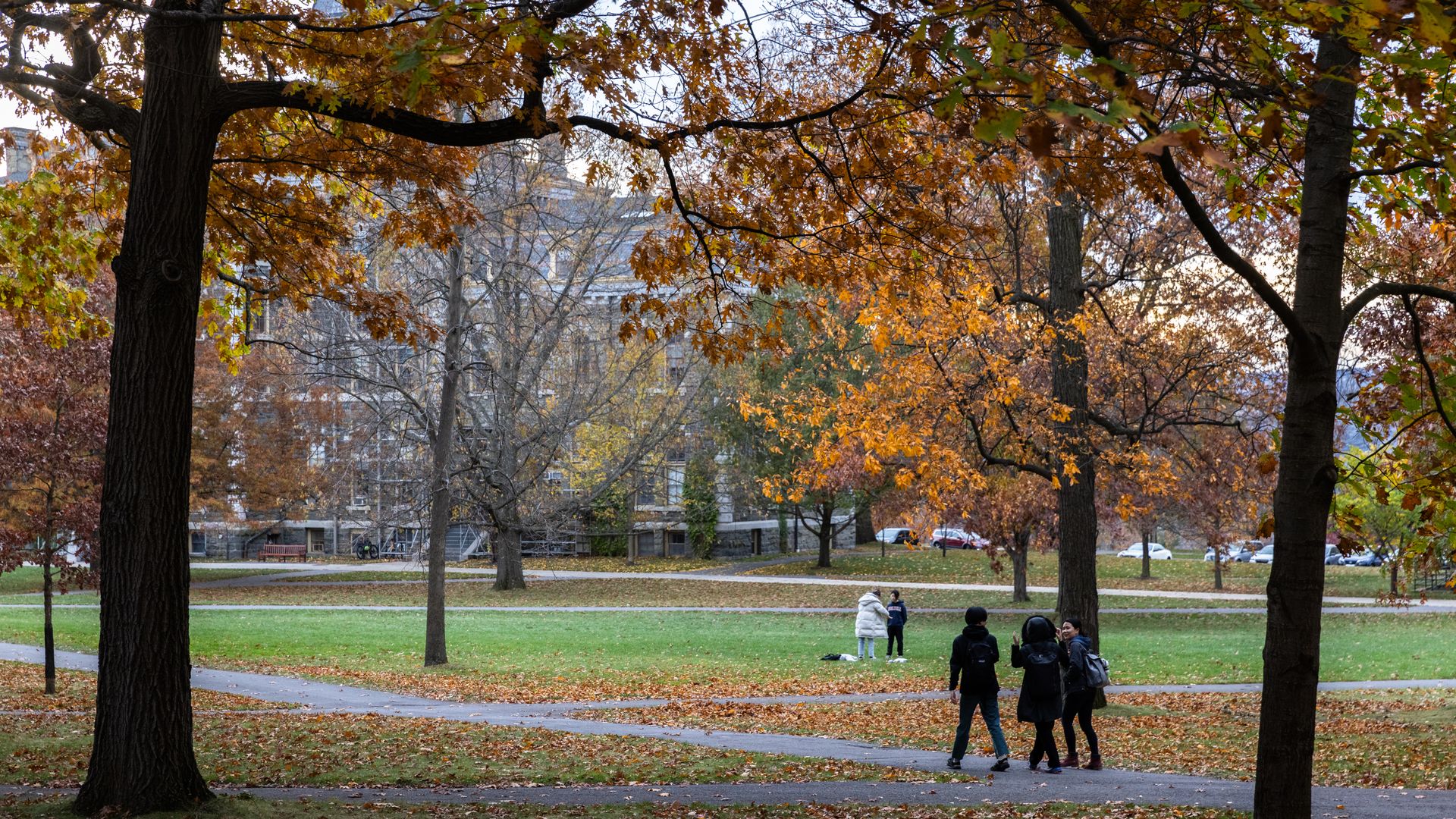 Cornell's campus with autumnal leaves on trees 