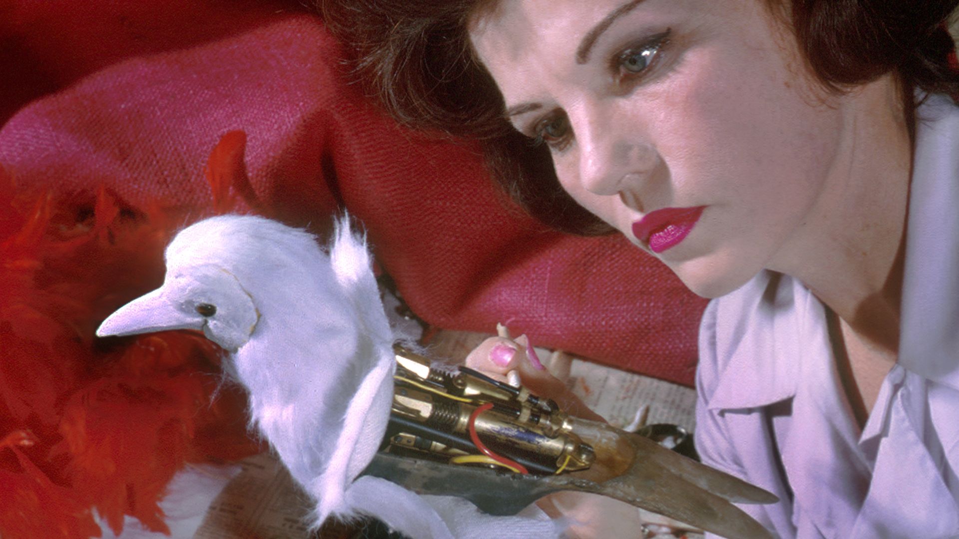 Image shows a woman working on a robotic white bird with the robot parts visible.