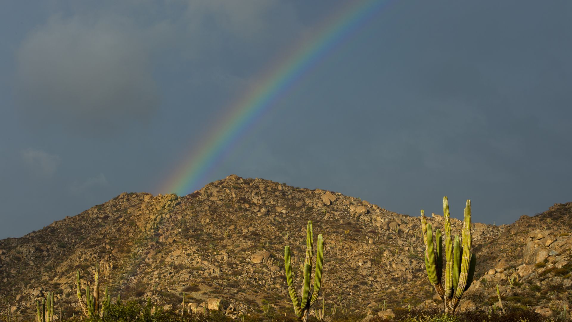 A rainbow over a desert landscape