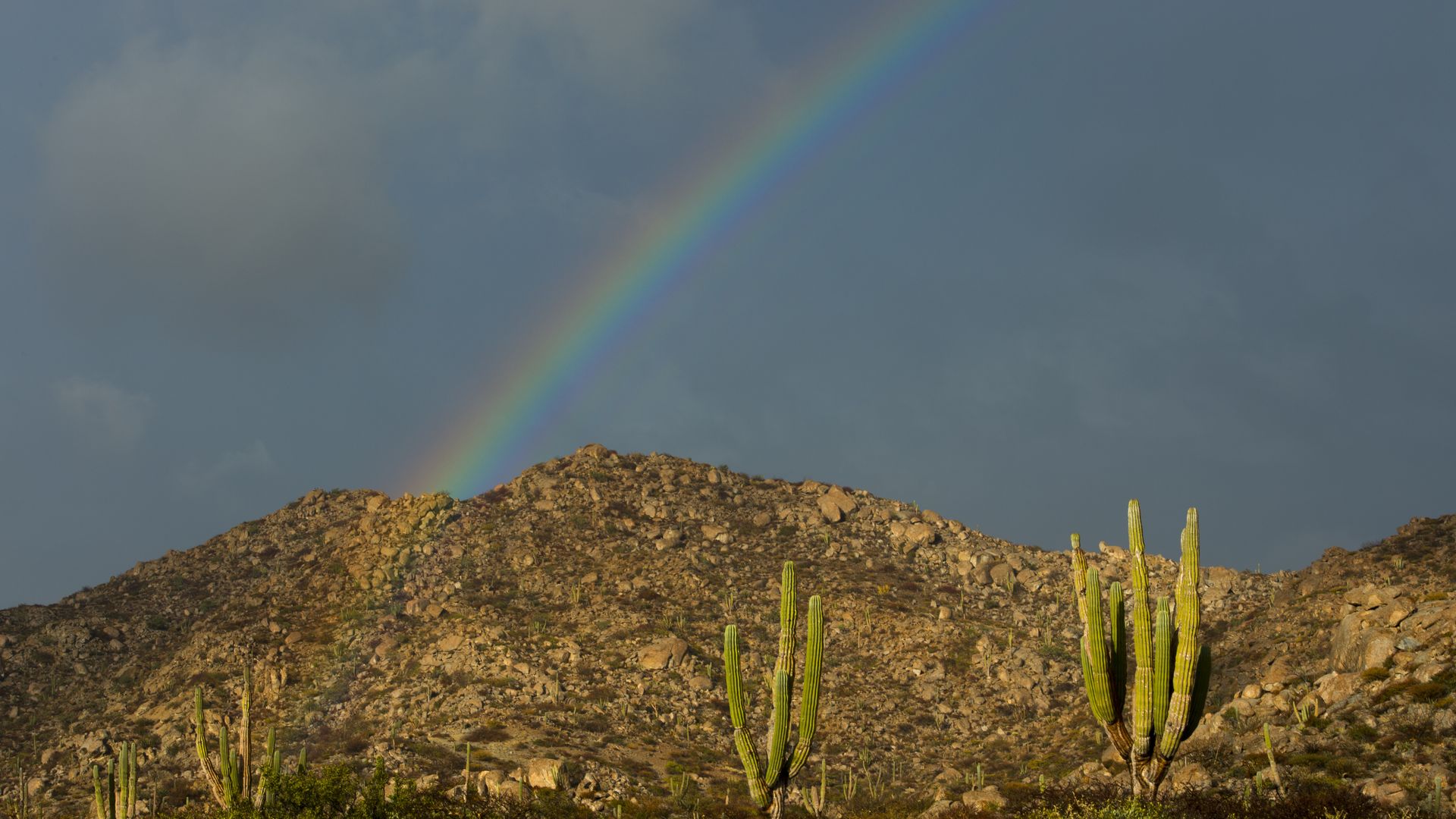 A rainbow over a desert landscape