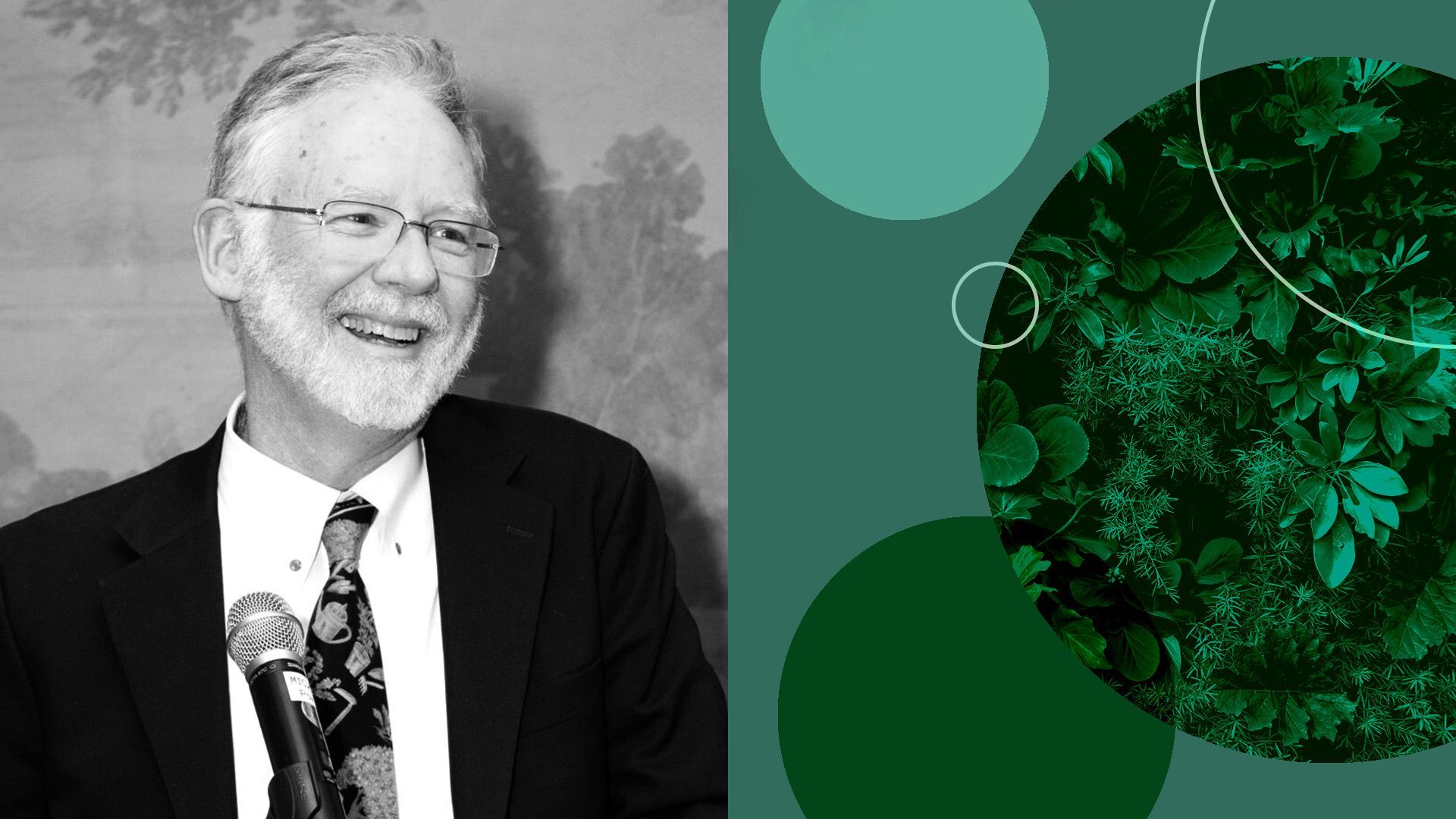 portrait of dave kirkpatrick surrounded by circles and greenery