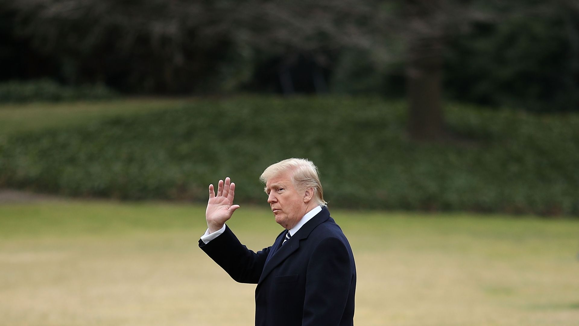 Trump