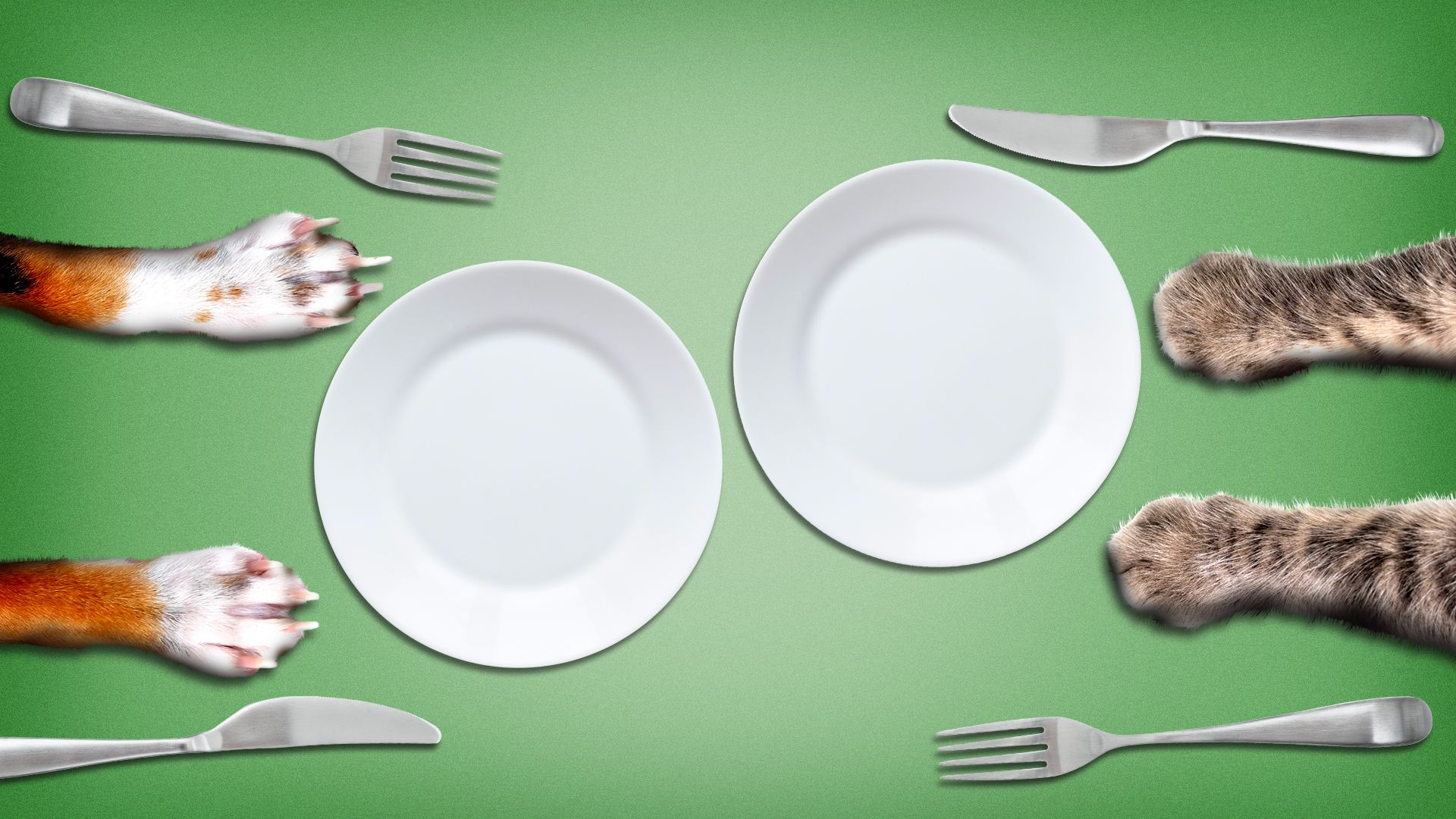 Illustration of a dog and cat's paws on a set table