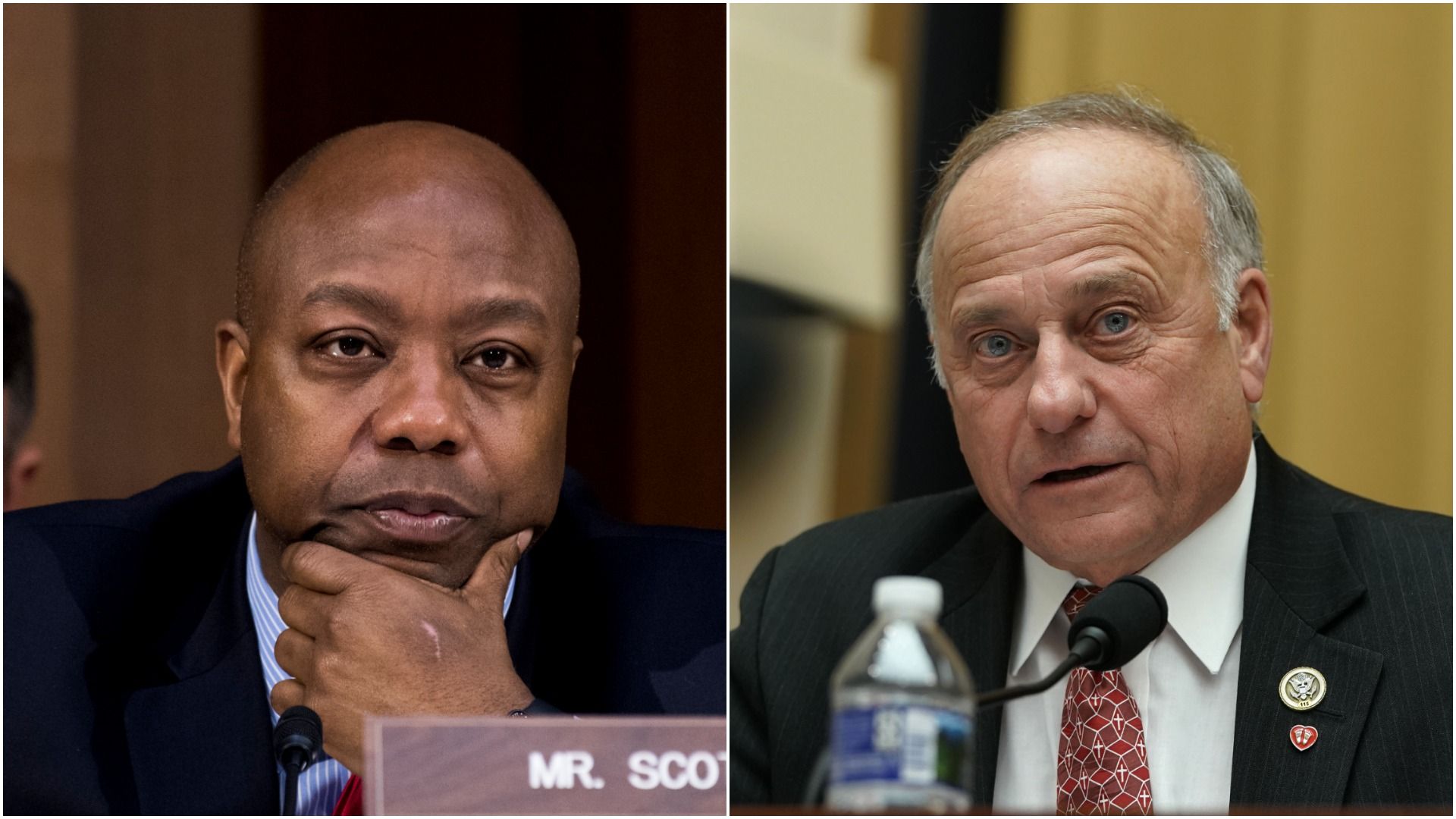 Tim Scott and Steve King