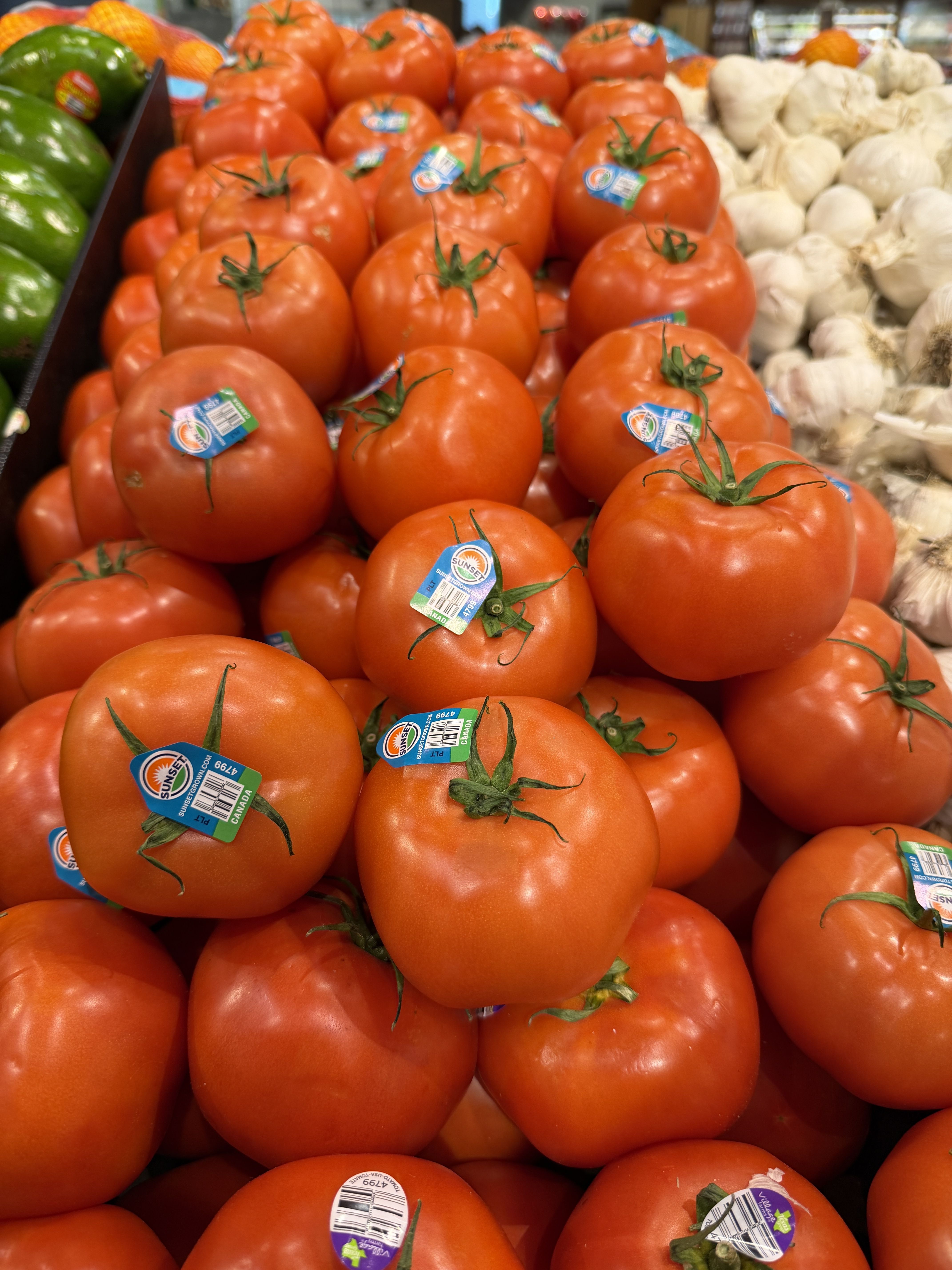 Pile of bright red tomatoes with green stems and blue stickers, arranged in a grocery display, with green peppers to the left and garlic to the right.