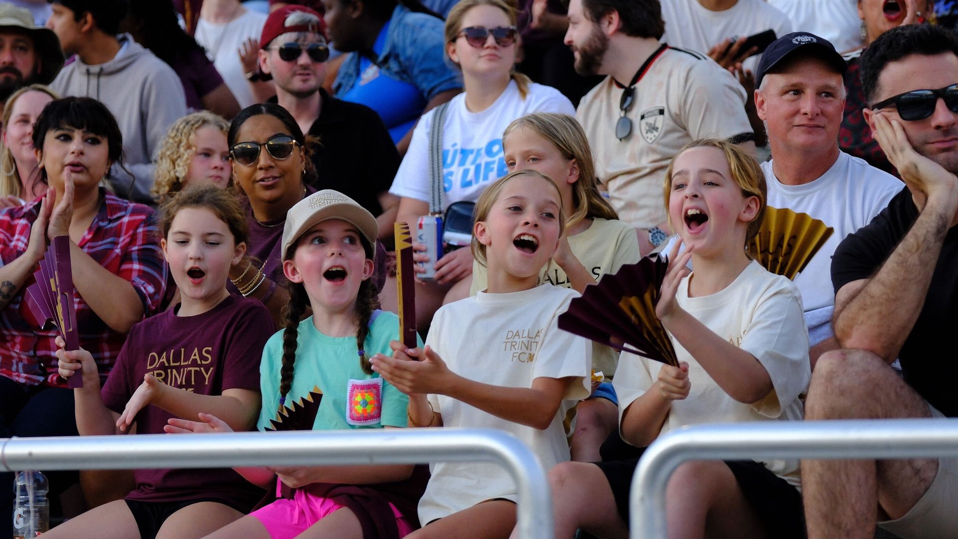Fans in the crowd at a soccer match