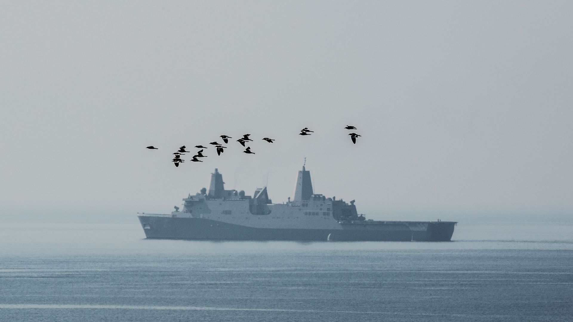 A flock of birds flies in the vicinity of the USS Green Bay, an amphibious transport dock as it manoeuvrers off the Thai coast during an amphibian landing exercise in Chonburi on February 17, 2017
