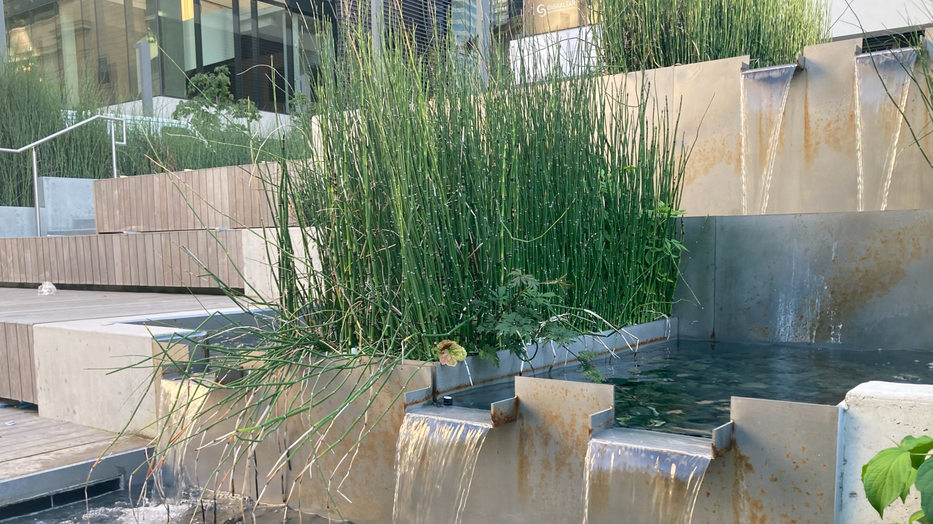 Grasses along a fountain that has square and rectangular shaped elements.