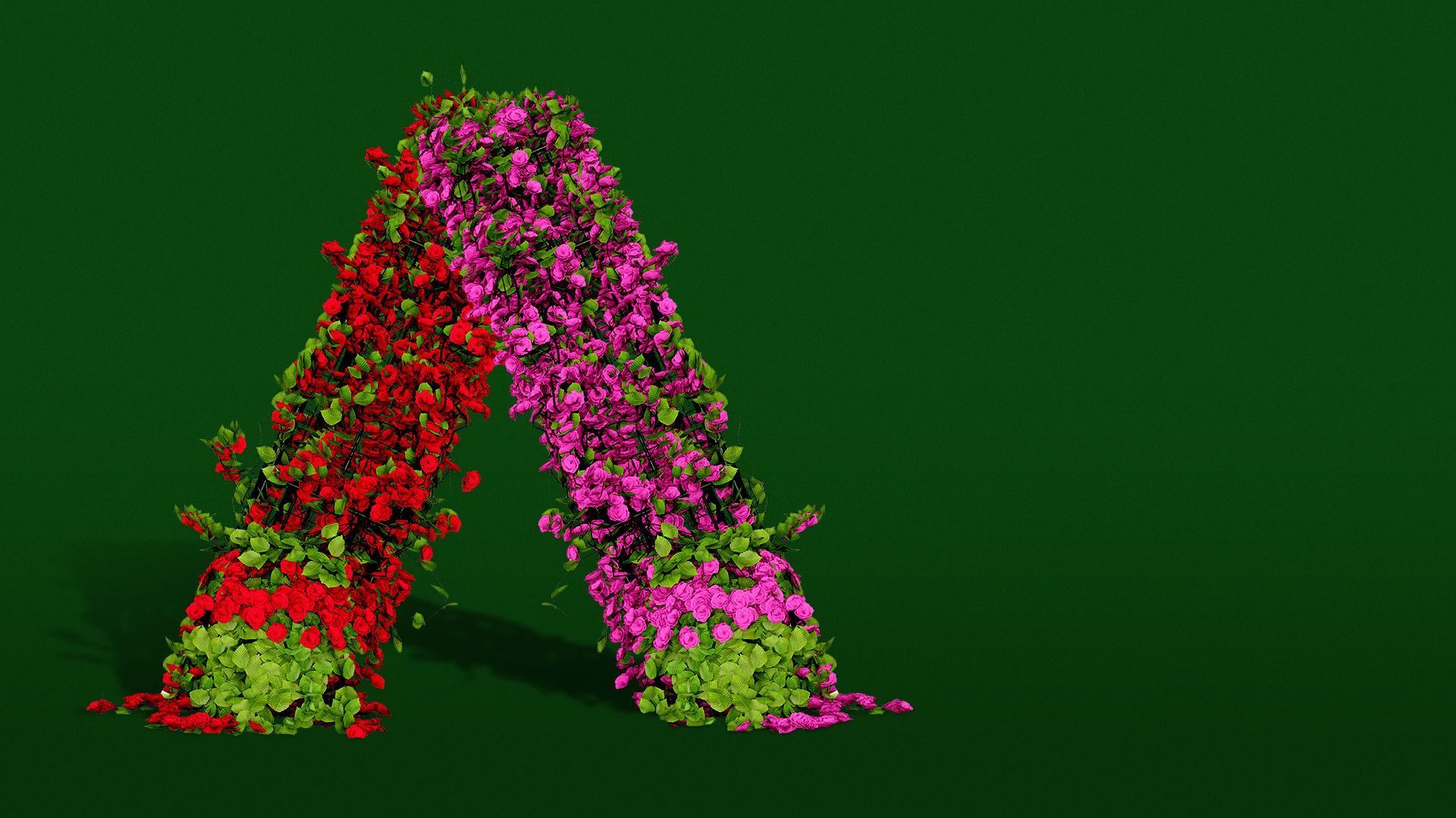 Illustration of the Axios logo made out of roses.