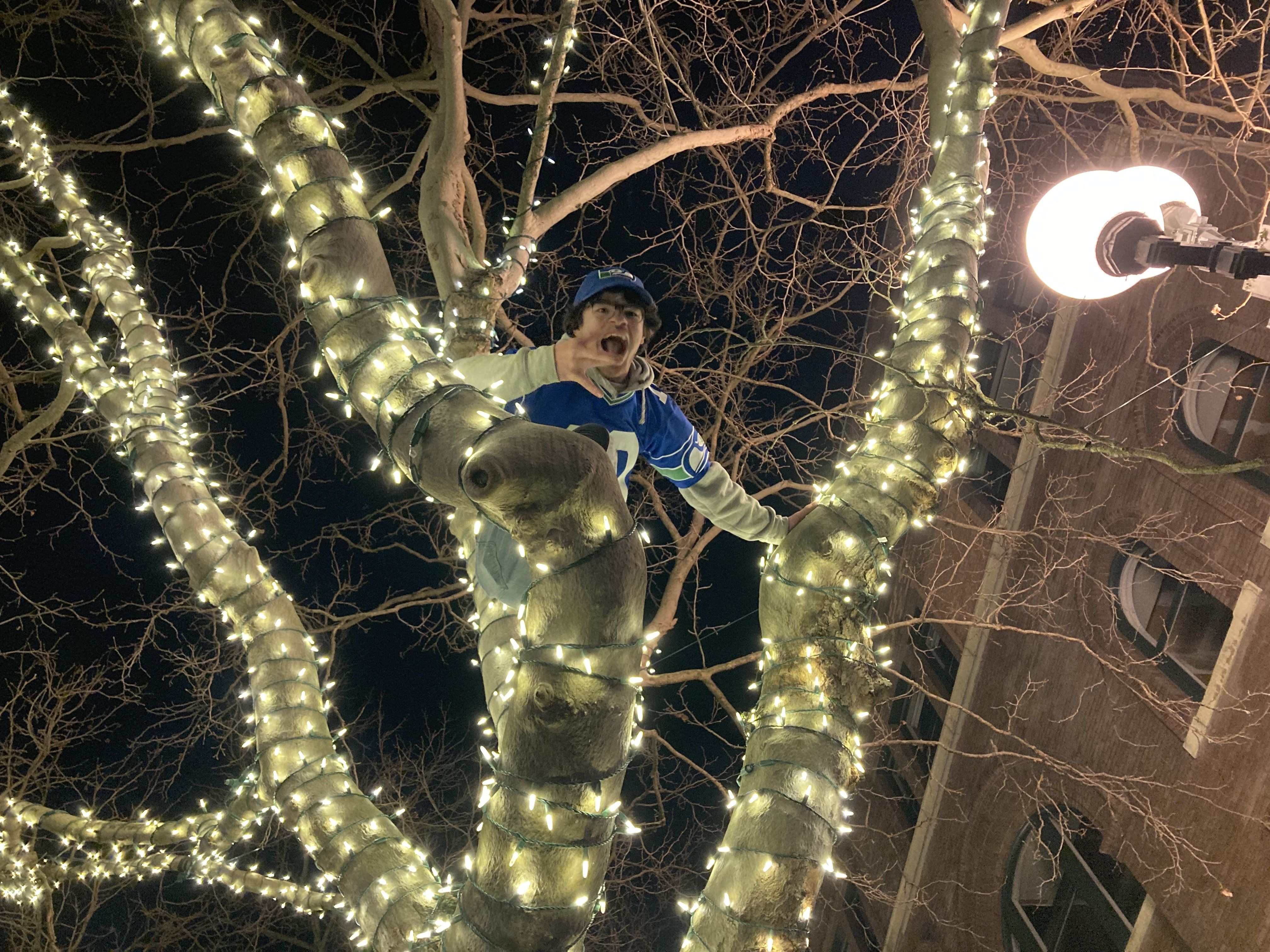 Person wearing blue and white jersey and cap climbing a tree wrapped with white string lights at night, next to a glowing street lamp and a building with arched windows.