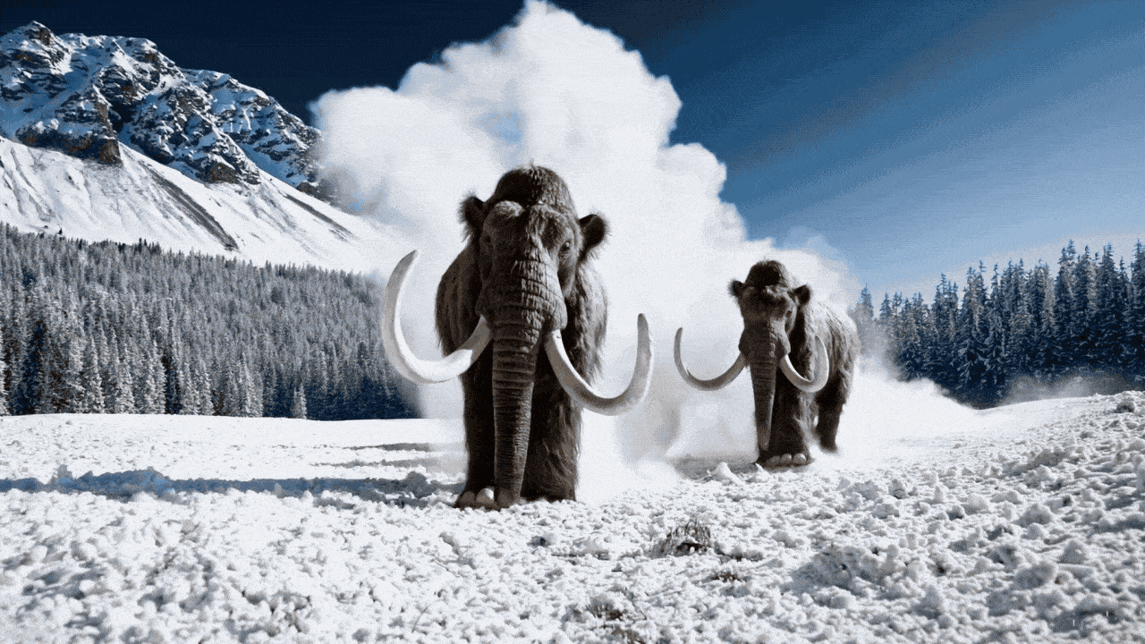 Video generated by OpenAI's Sora