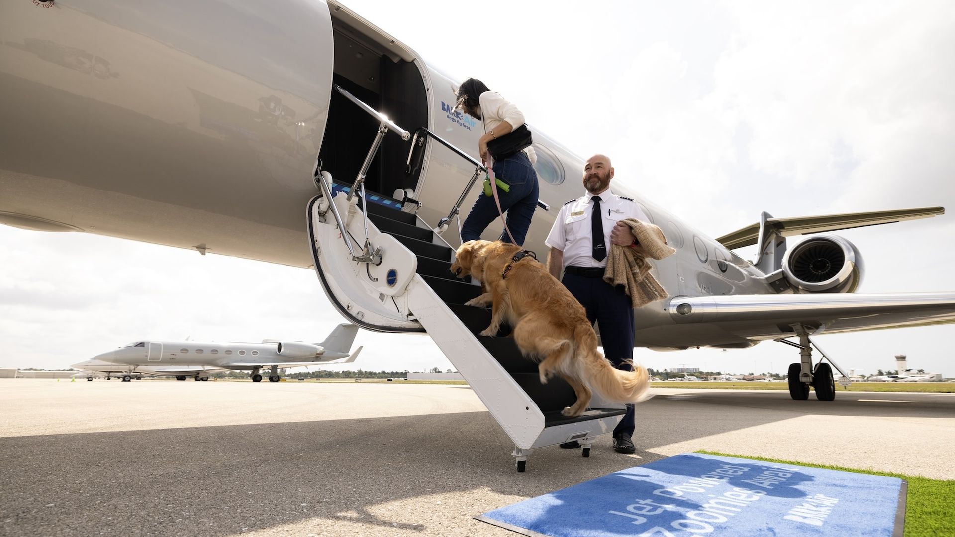 Photo of a dog getting on an airplane 