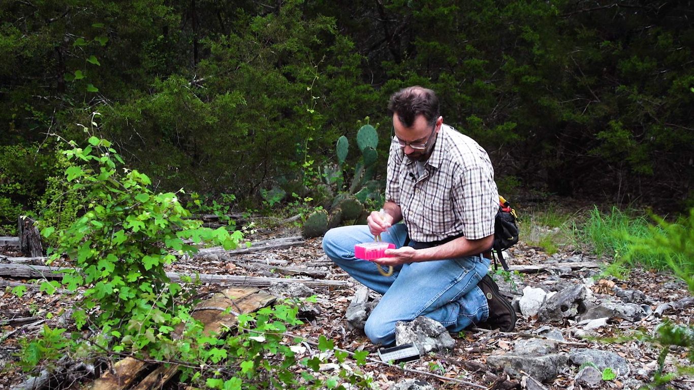 University Of Texas Scientists Crazy Ants May Have Finally Met Their   1648579082313 