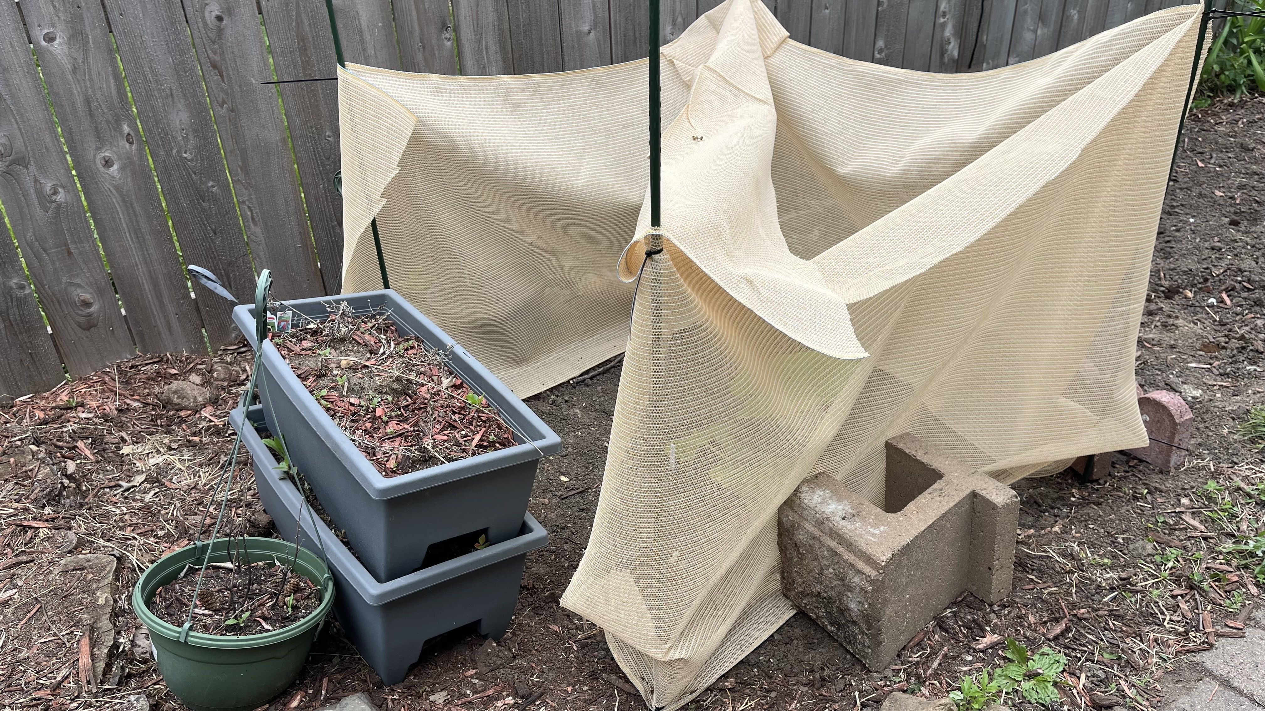 Backyard scene with beige mesh shade fabric draped over green metal posts, tied at the center. A gray plastic planter filled with dried leaves sits nearby, with concrete blocks and a wooden fence in the background.