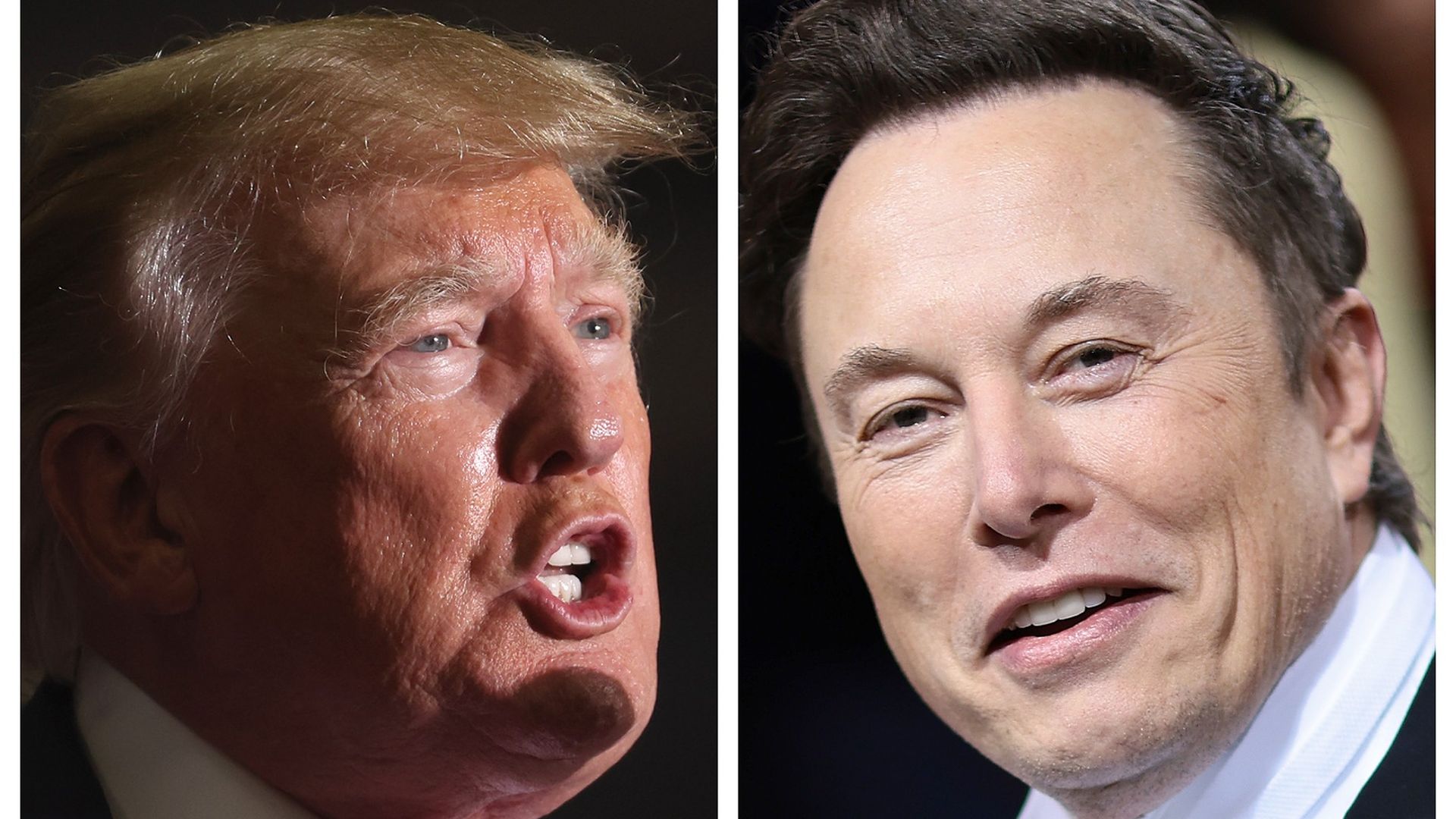 Combination images of former President Trump and Elon Musk.