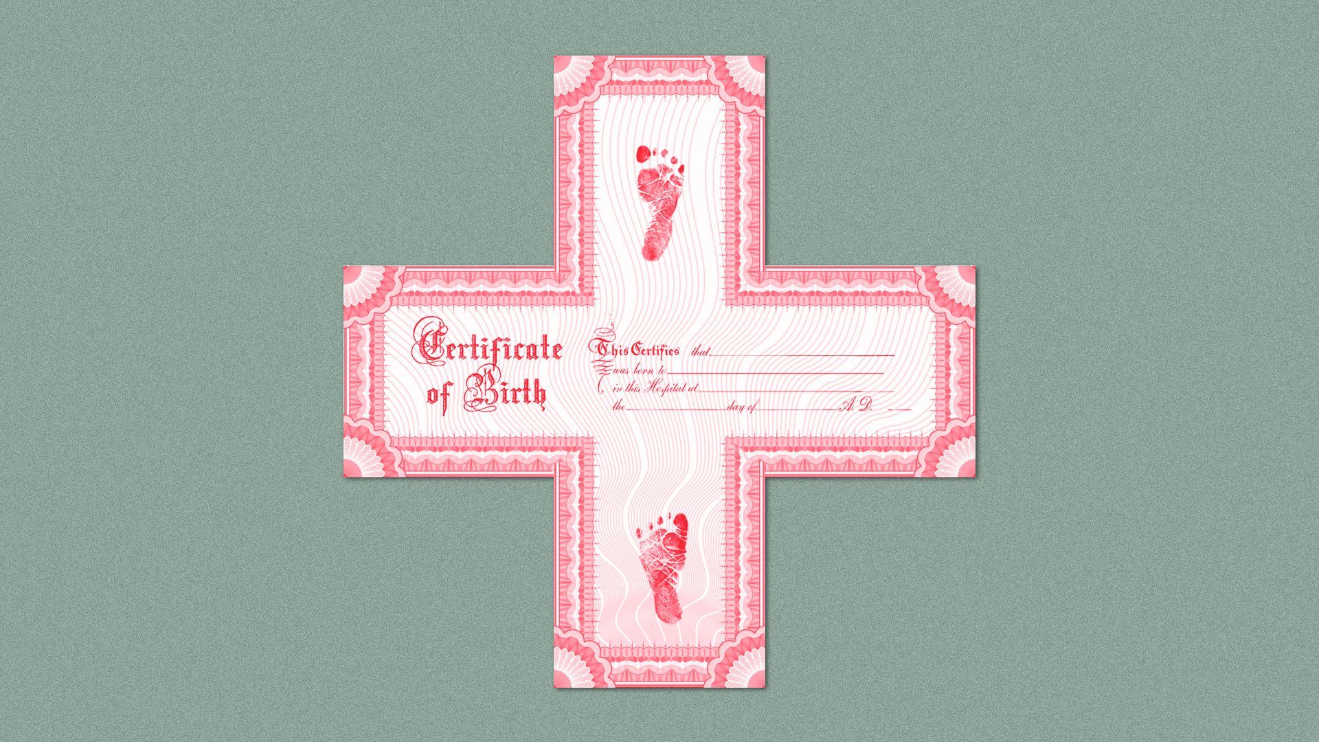 Illustration of a birth certificate in the shape of a red cross.