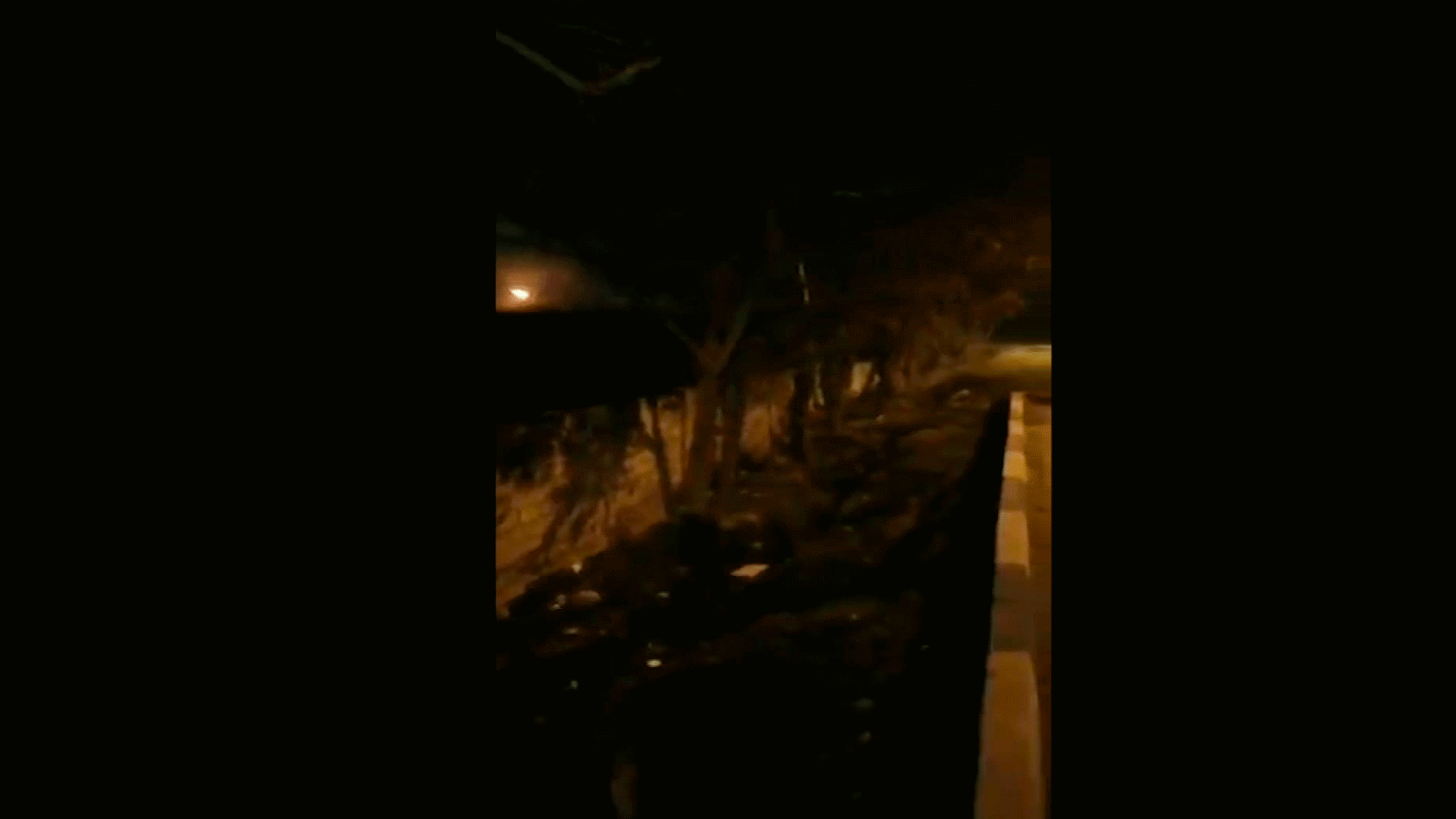 Gifs of Ukraine plane crash in Iran