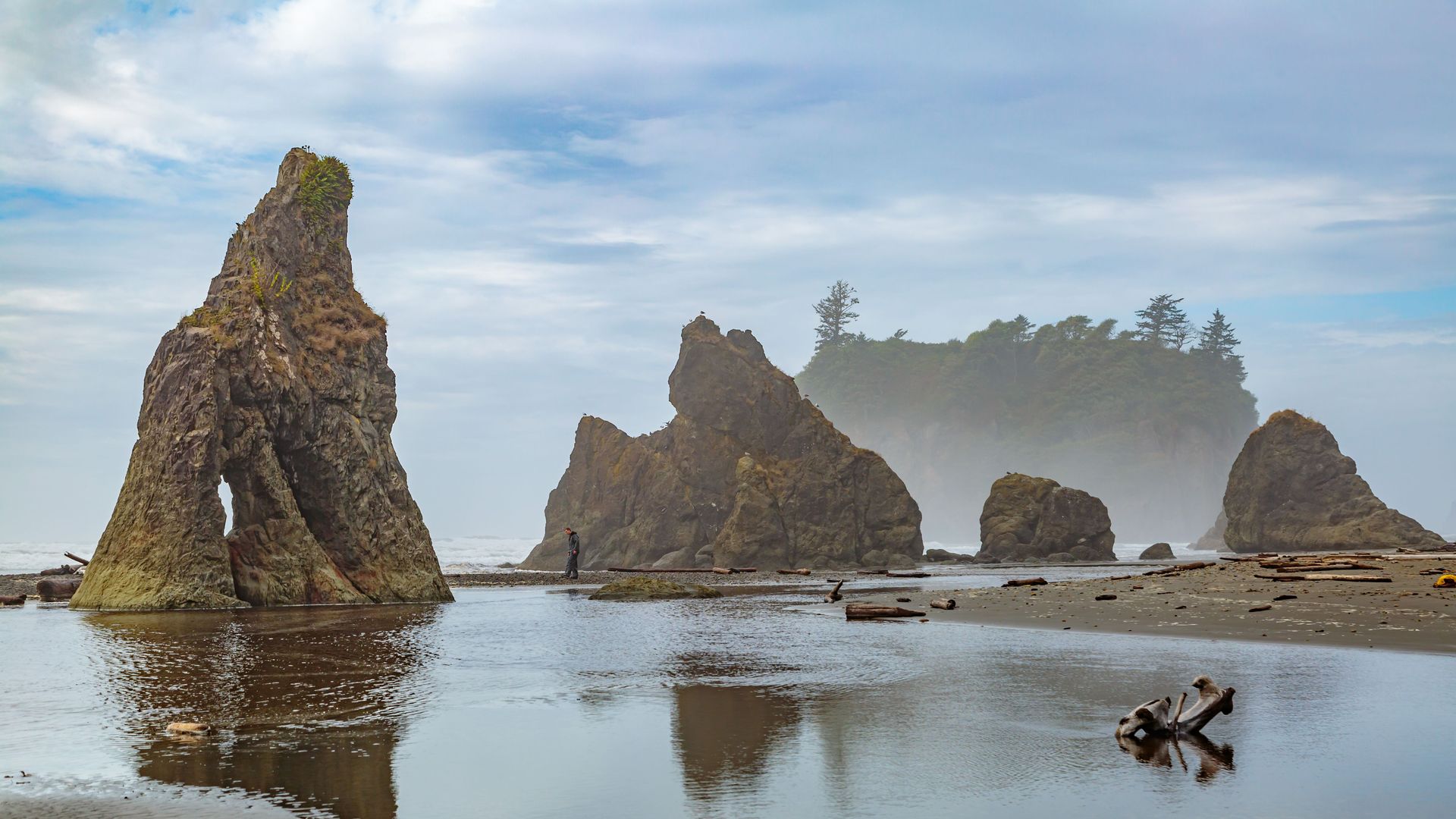 Coastal scene with tall jagged rock stacks rising from shallow water, a misty background island with trees, a lone person near rocks, and driftwood reflected in a calm tidal pool.