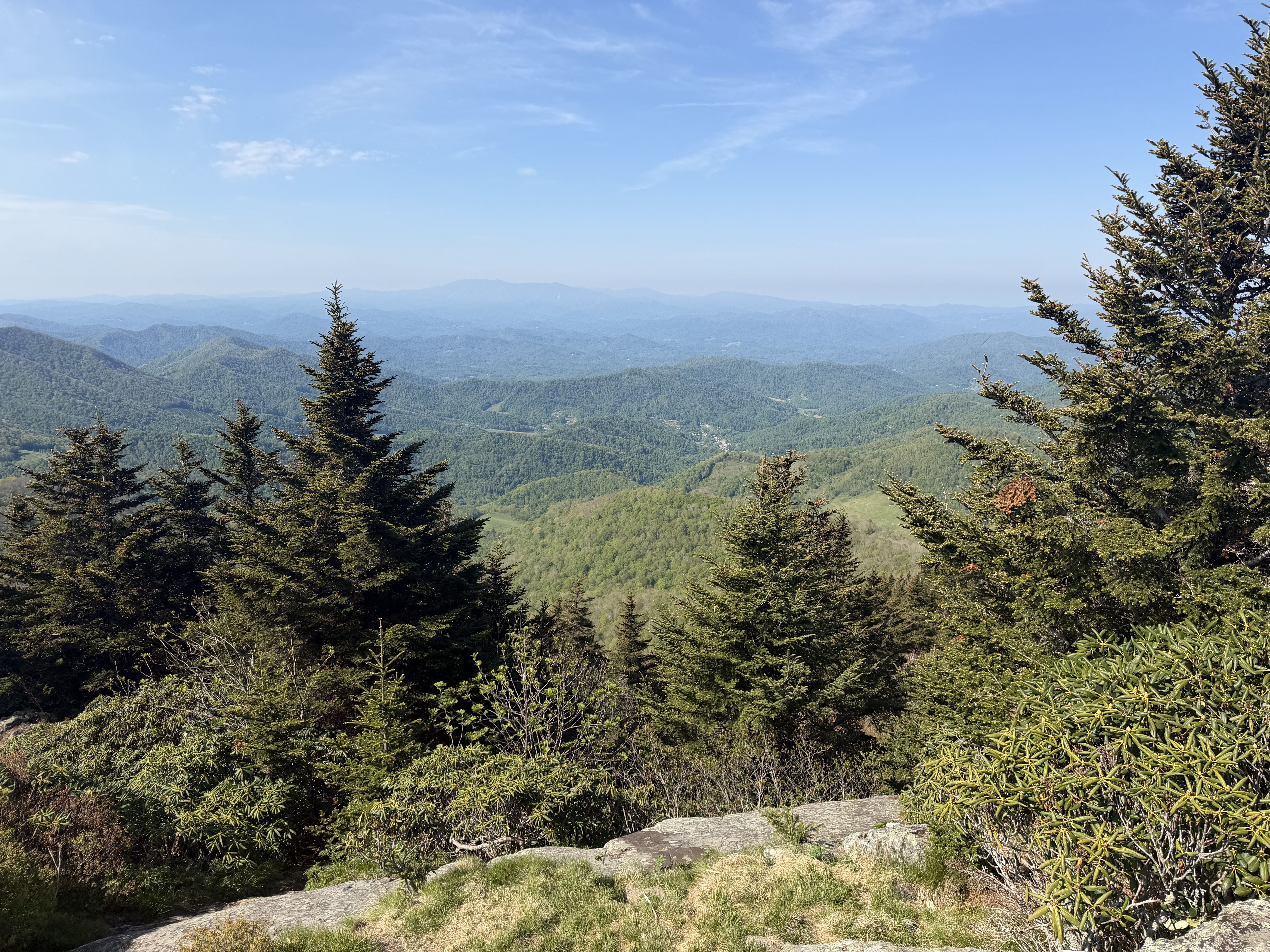 Panoramic mountain view with layered blue ridges, a bright blue sky, and a dense foreground of evergreen trees; a rocky stone path runs along the bottom.