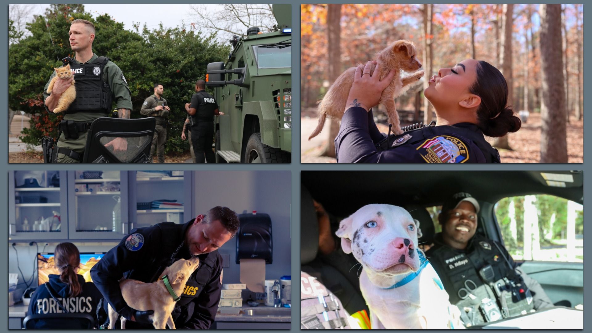 4 smoking hot sexy police officers with cute animals 