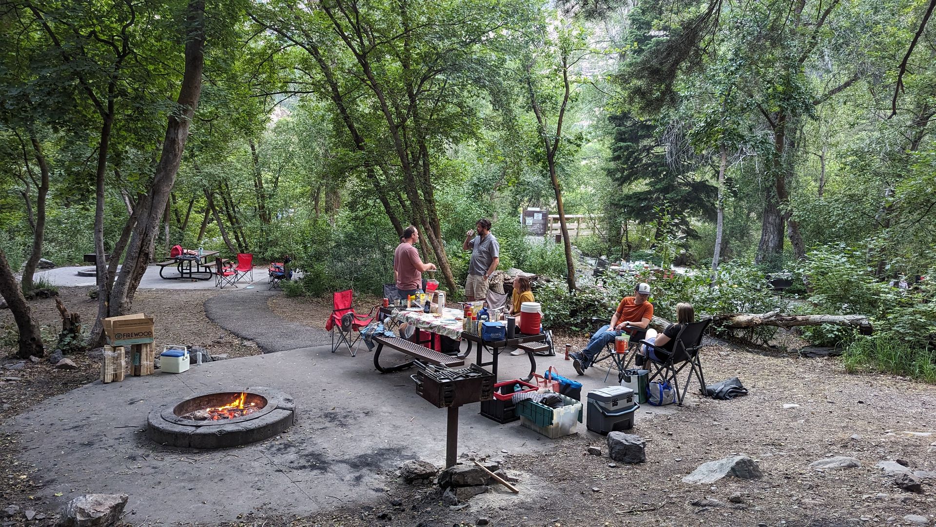 People gathering at a picnic outdoors.