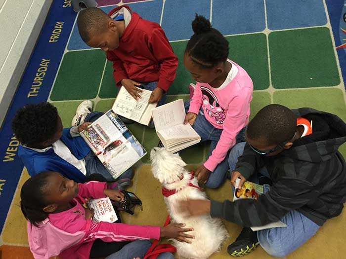 reading-buddy-wimpy-kid