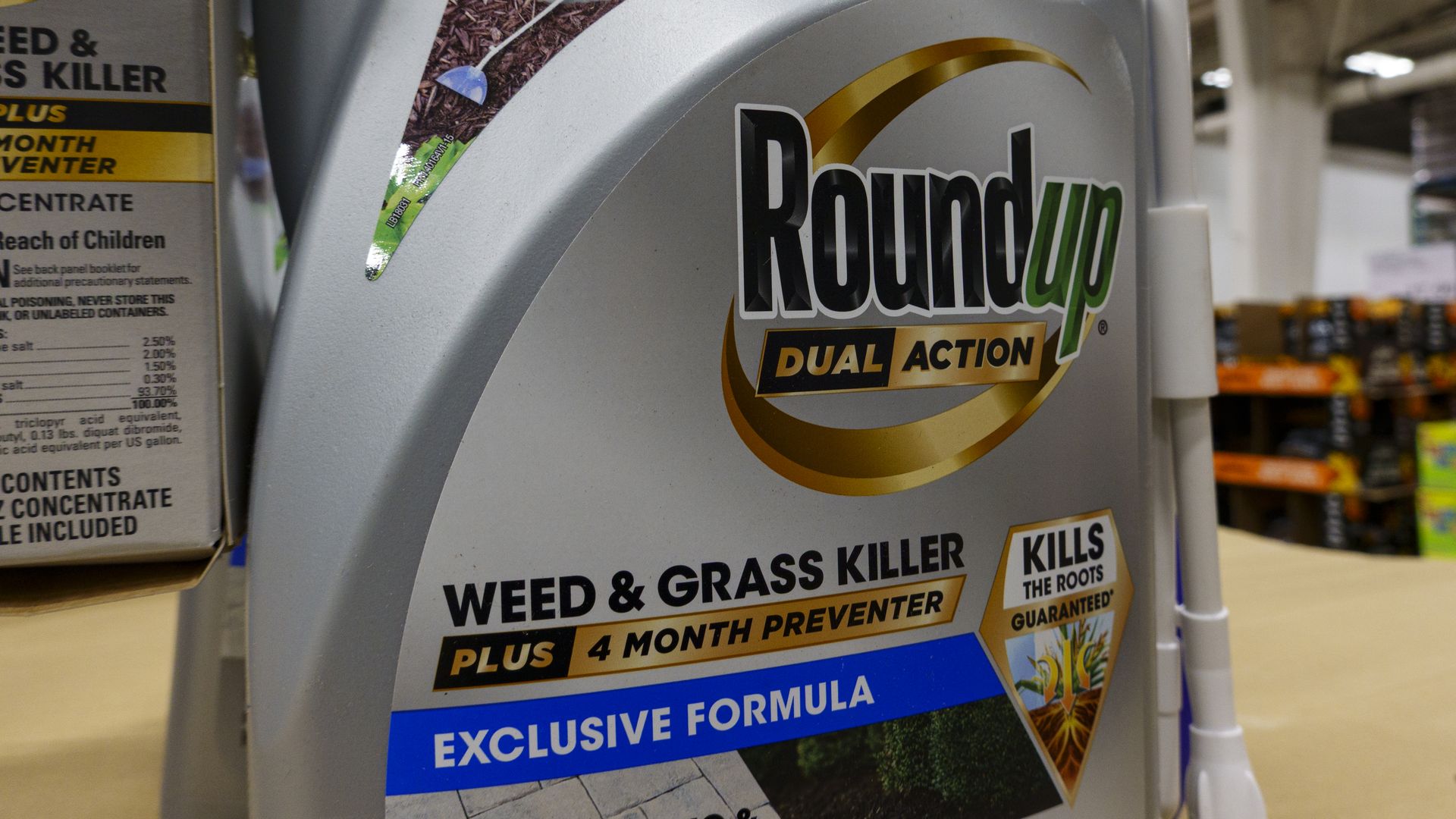 Close-up of a silver Roundup weedkiller bottle on a store shelf; the label reads Roundup Dual Action, Weed & Grass Killer, Plus 4 Month Preventer with a gold ring logo and a blue Exclusive Formula strip.