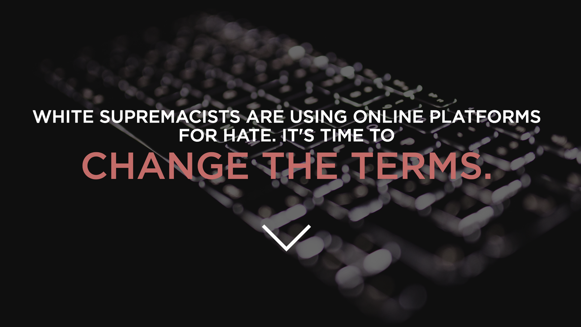 Screenshot of Change The Terms, a site devoted to how social media companies can fight hate speech