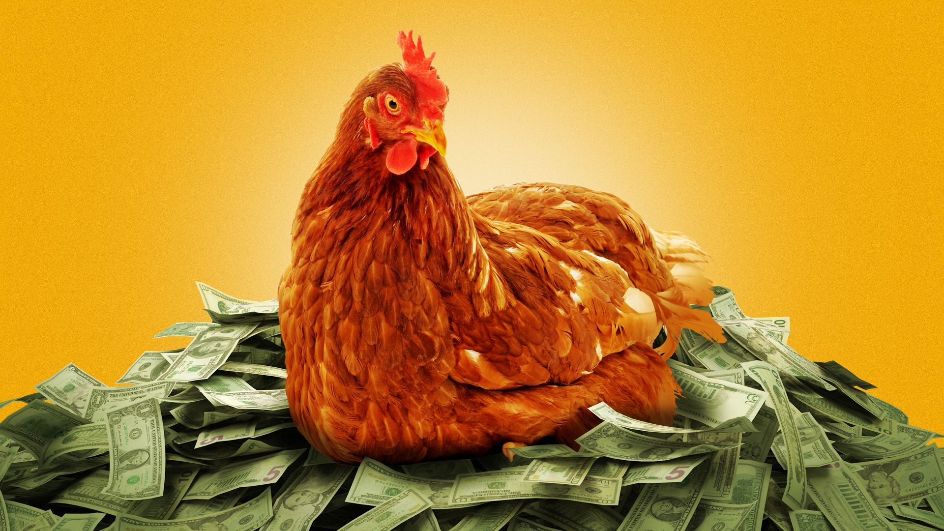 Illustration of a chicken nesting in a pile on money