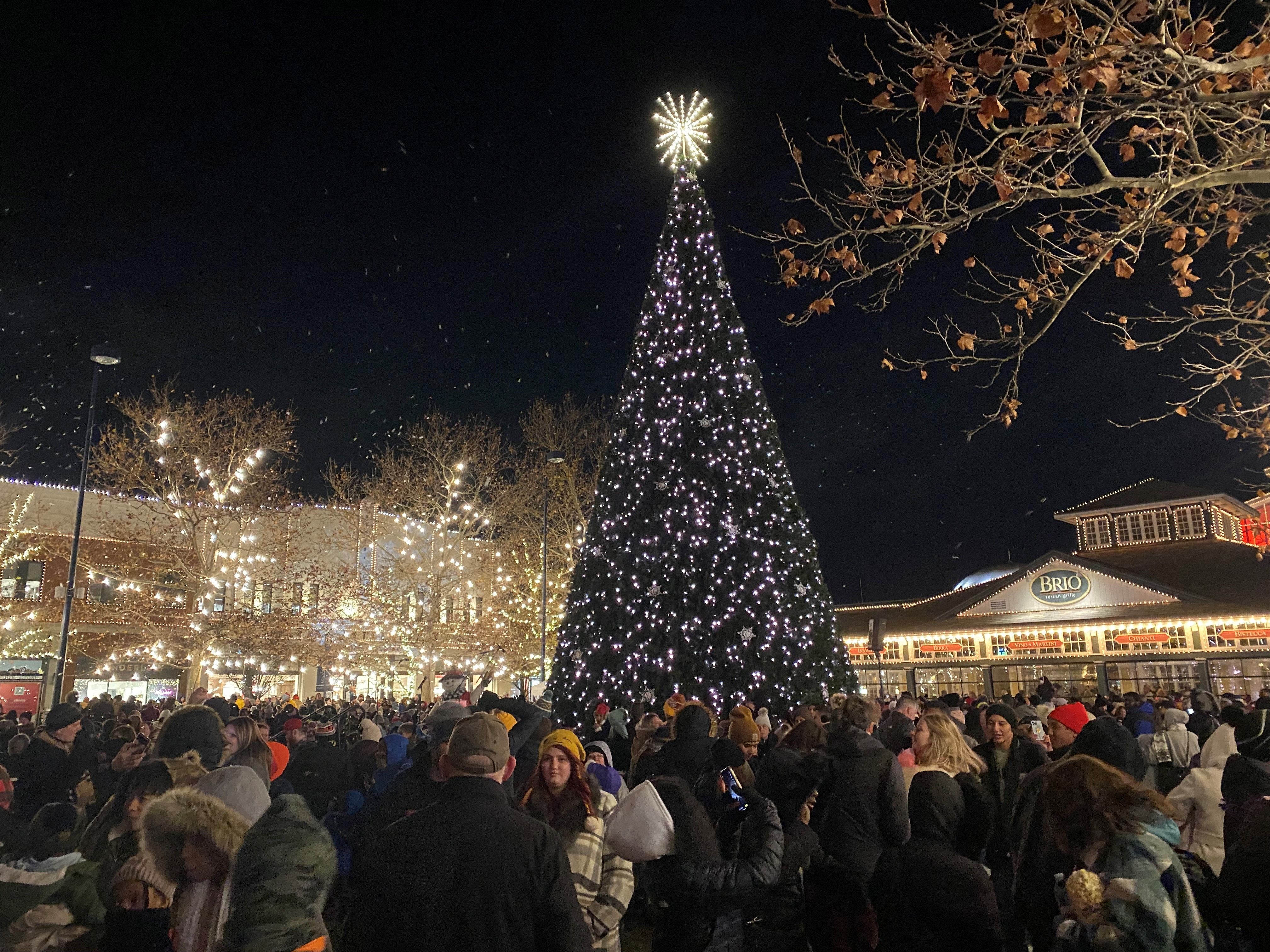 A crowd gathers around a towering lit Christmas tree in Easton's Town Square