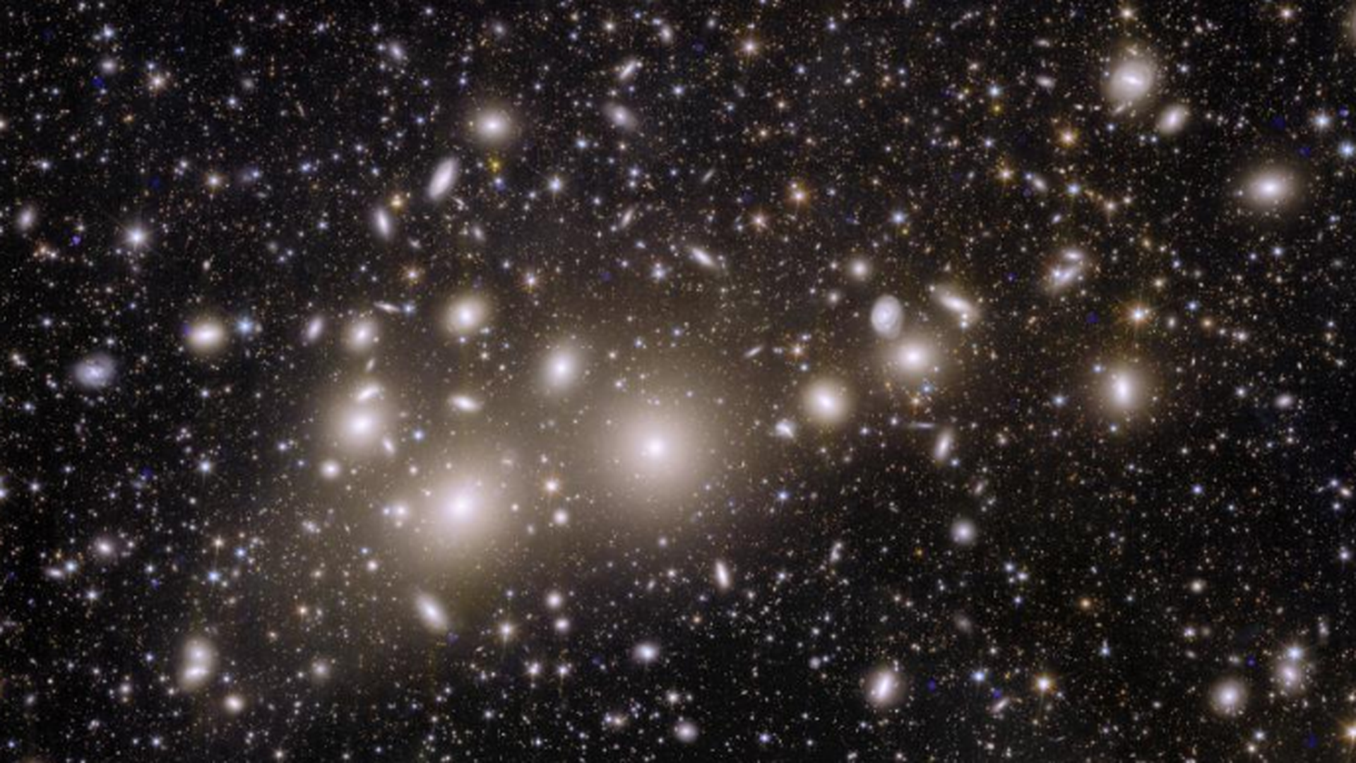 Am image taken by Euclid showing 1,000 galaxies belonging to the Perseus Cluster and more than 100,000 additional galaxies further away in the background.