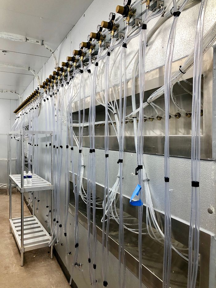 beer cooler at duckworth's charlotte