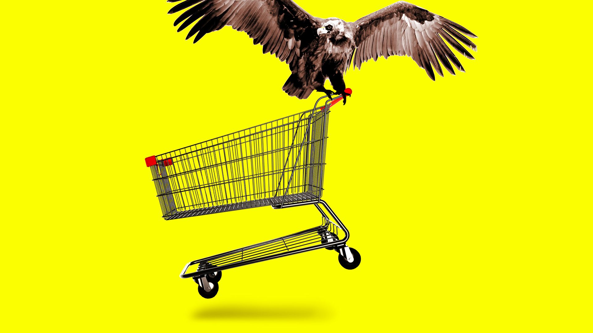 Vulture carrying away a shopping cart