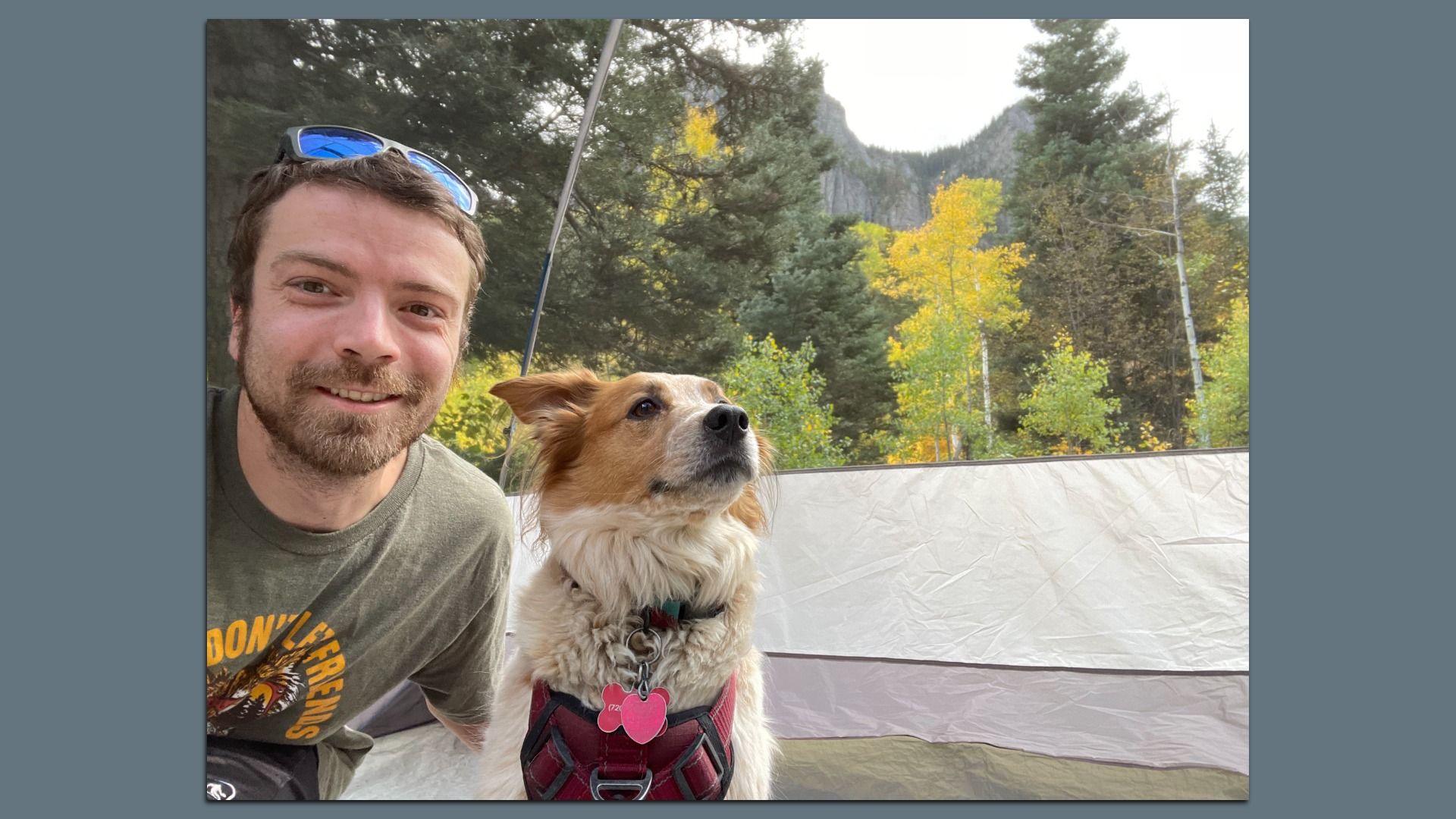 A person with sunglasses on poses with their dog while camping