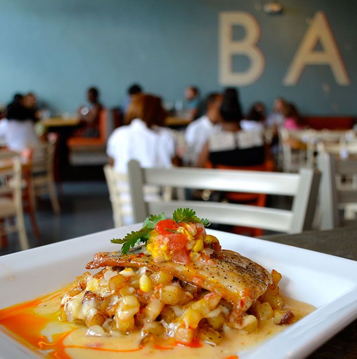 babalu-fish-dilworth-charlotte