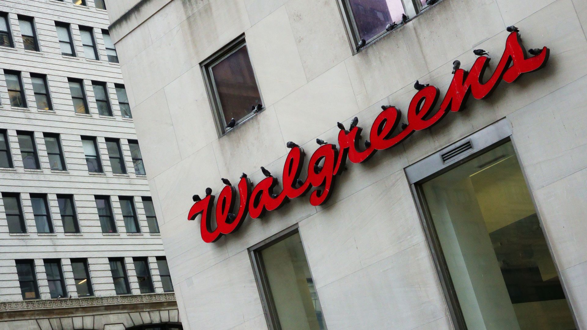 Pigeons sitting on a Walgreens sign