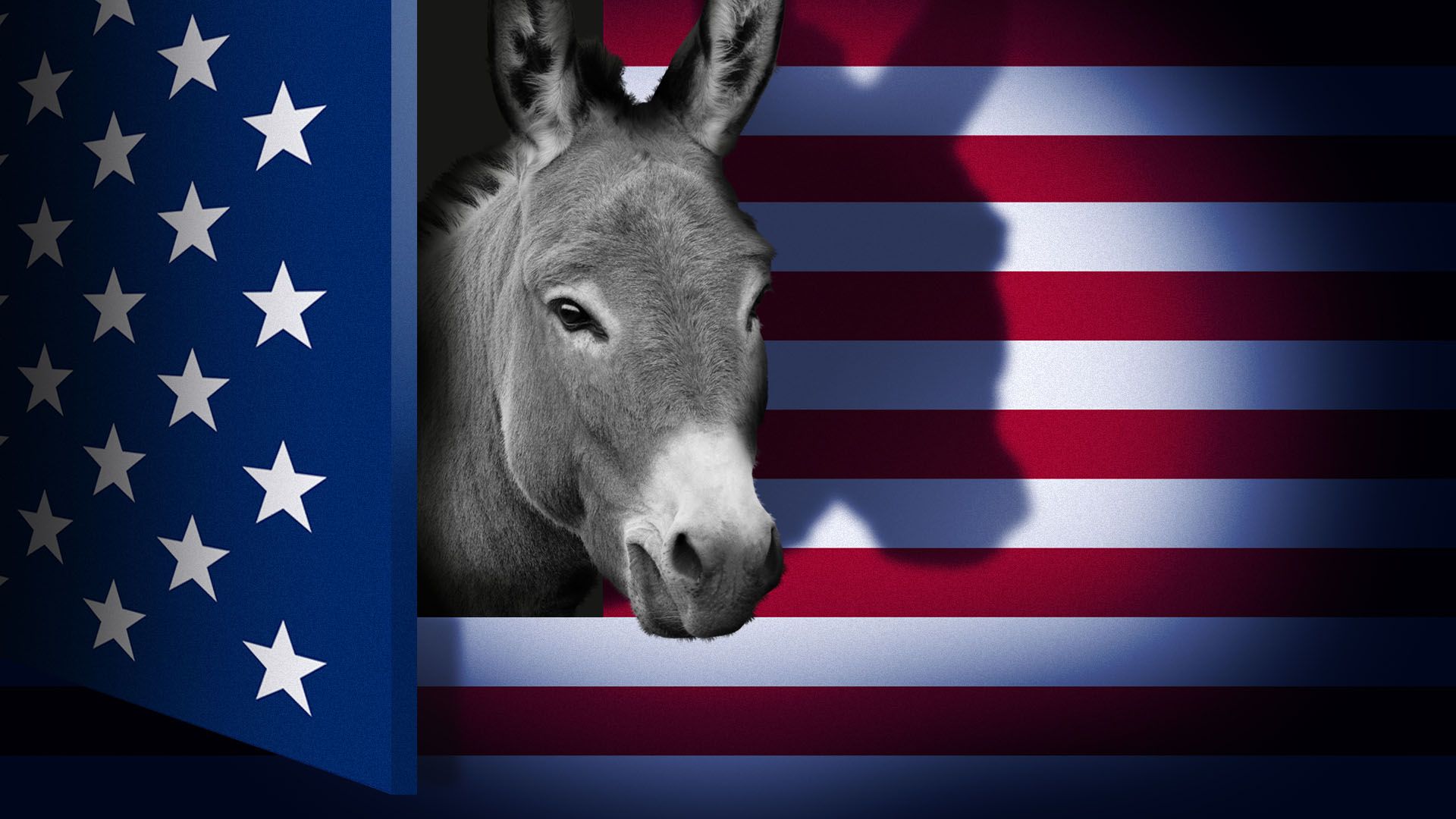 Illustration of a donkey peaking through a "door" in the form of a darkened American flag
