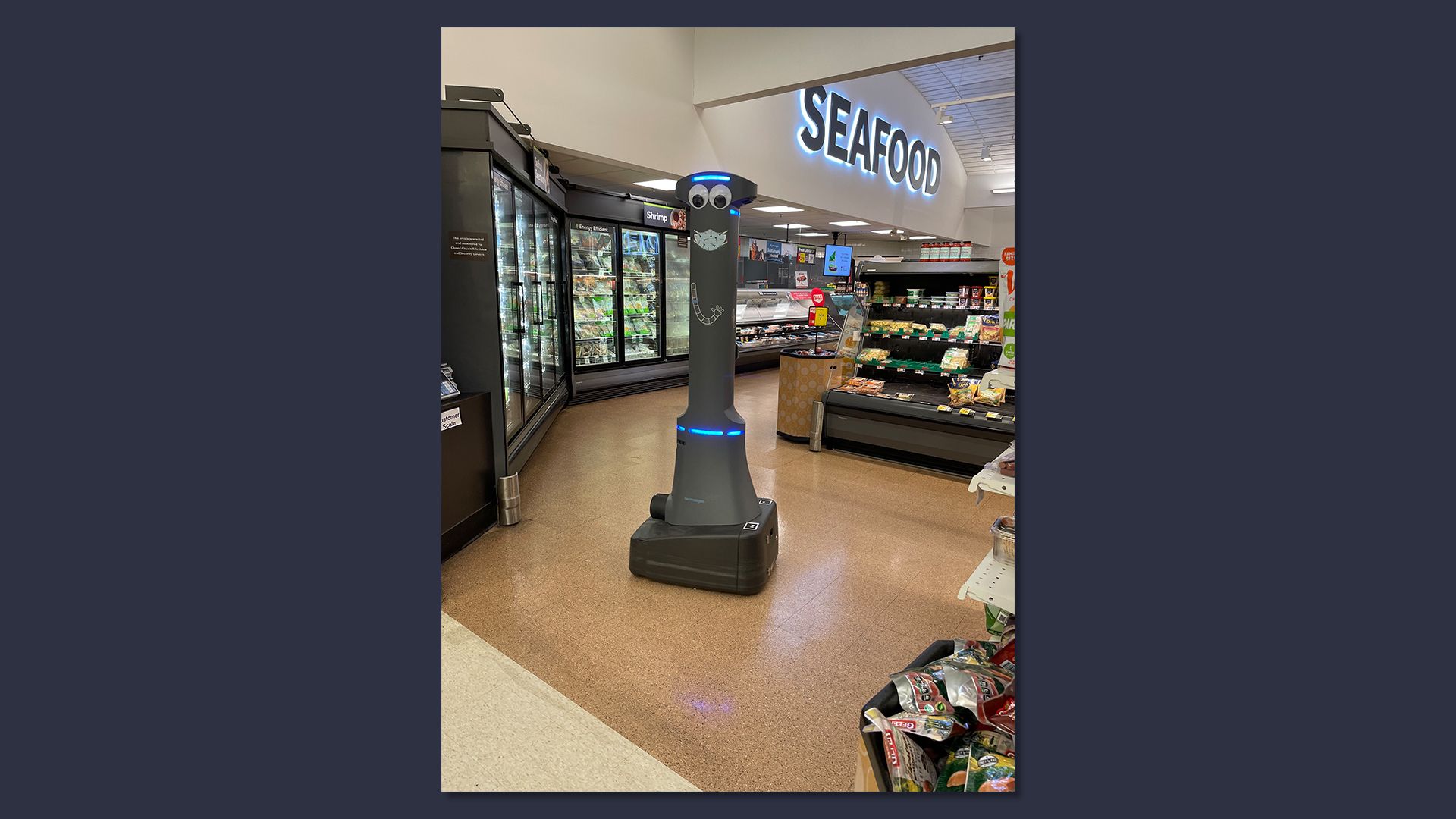 A wandering robot in a supermarket that cleans the floors and does security.