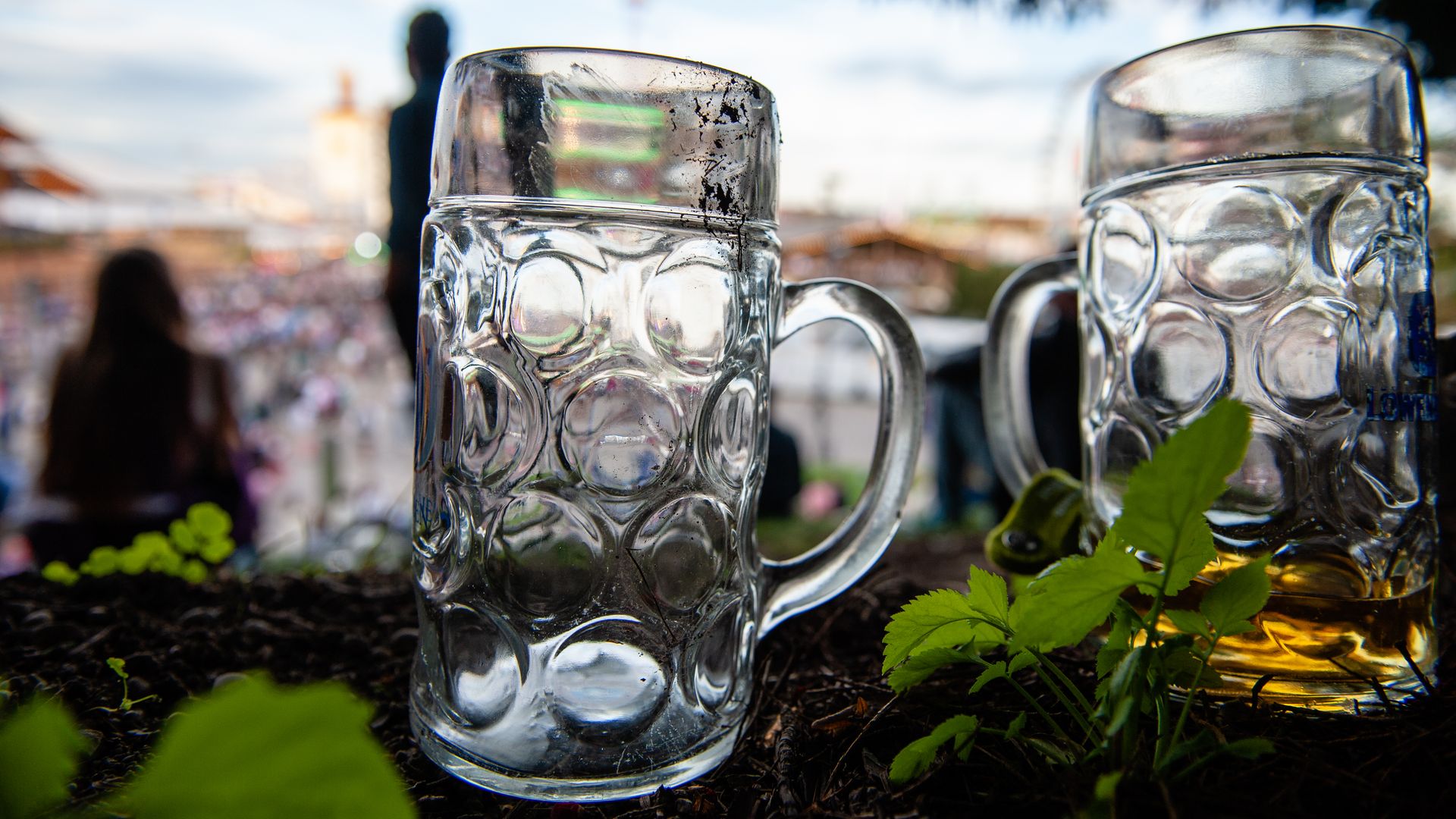 Two empty dimpled beer steins are placed on a table during the 2018 Oktoberfest beer festival in 2018 in Munich, Germany.