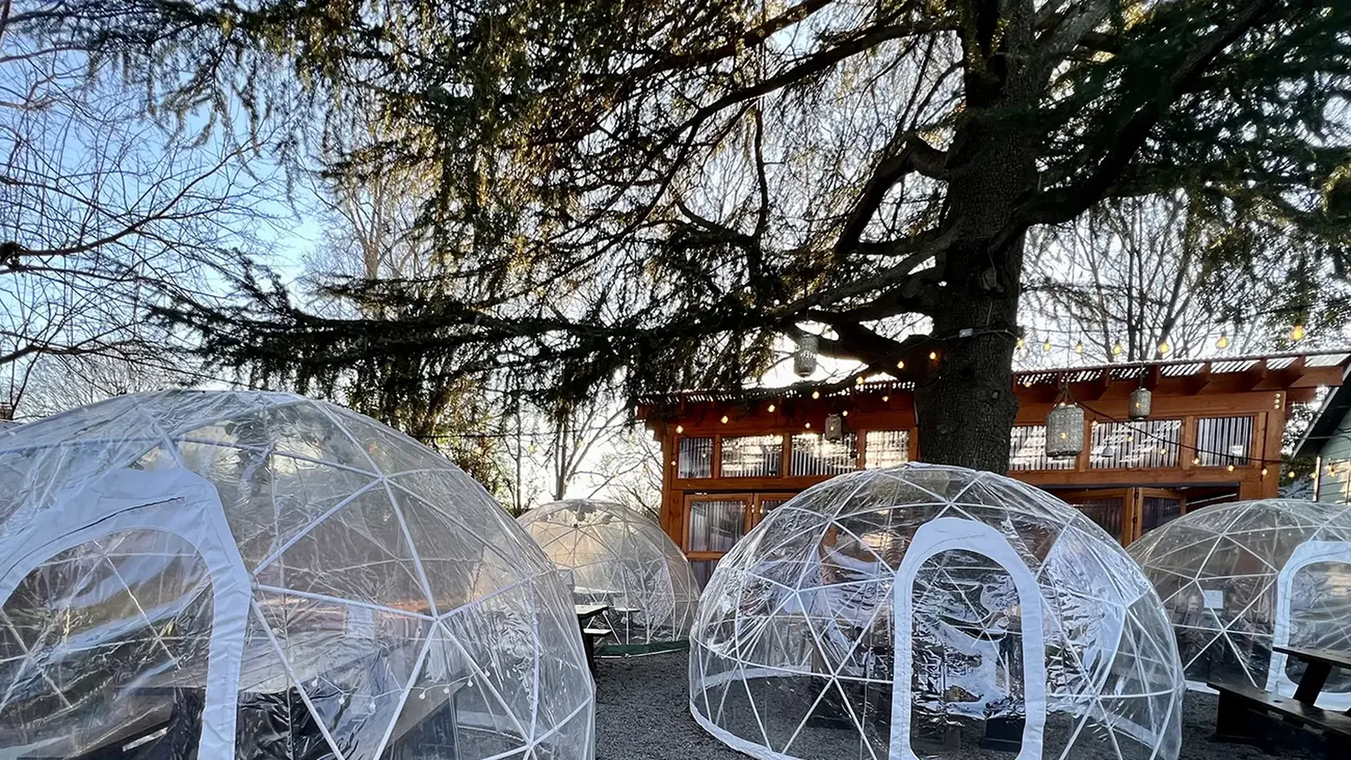 good year house igloos