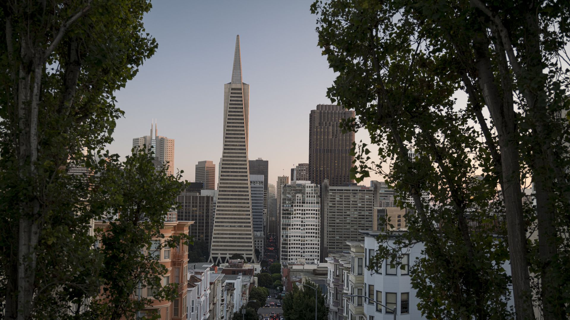 Framed by trees, row houses line a street leading to a skyscraper district