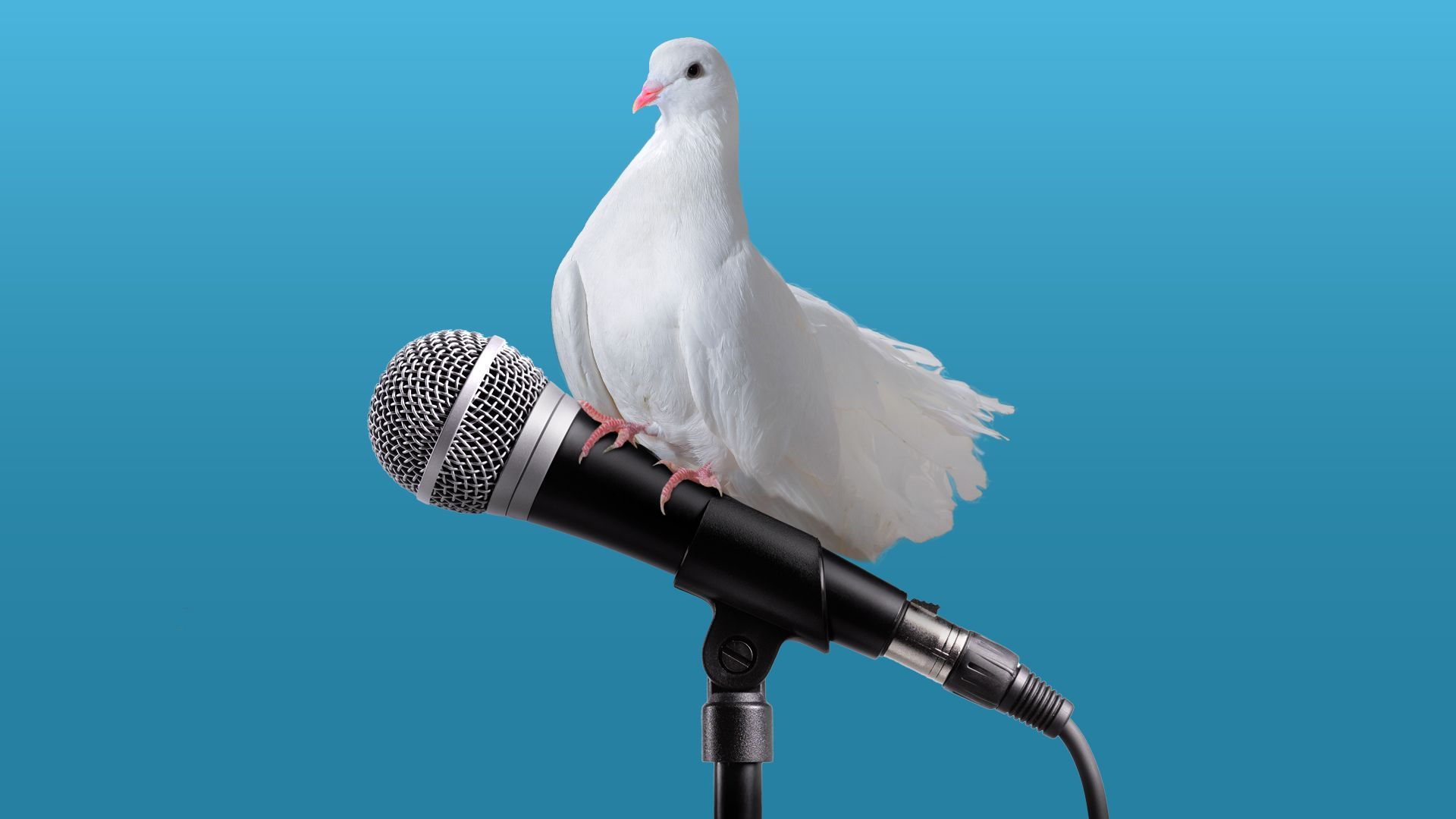 Illustration of a dove sitting on a microphone