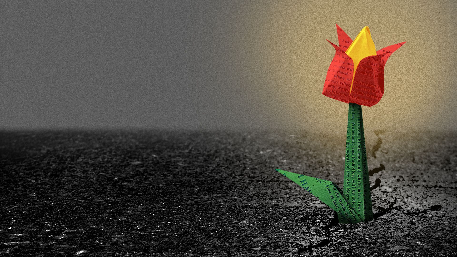 Illustration of a flower made of text pages that is sprouting from cracked asphalt.