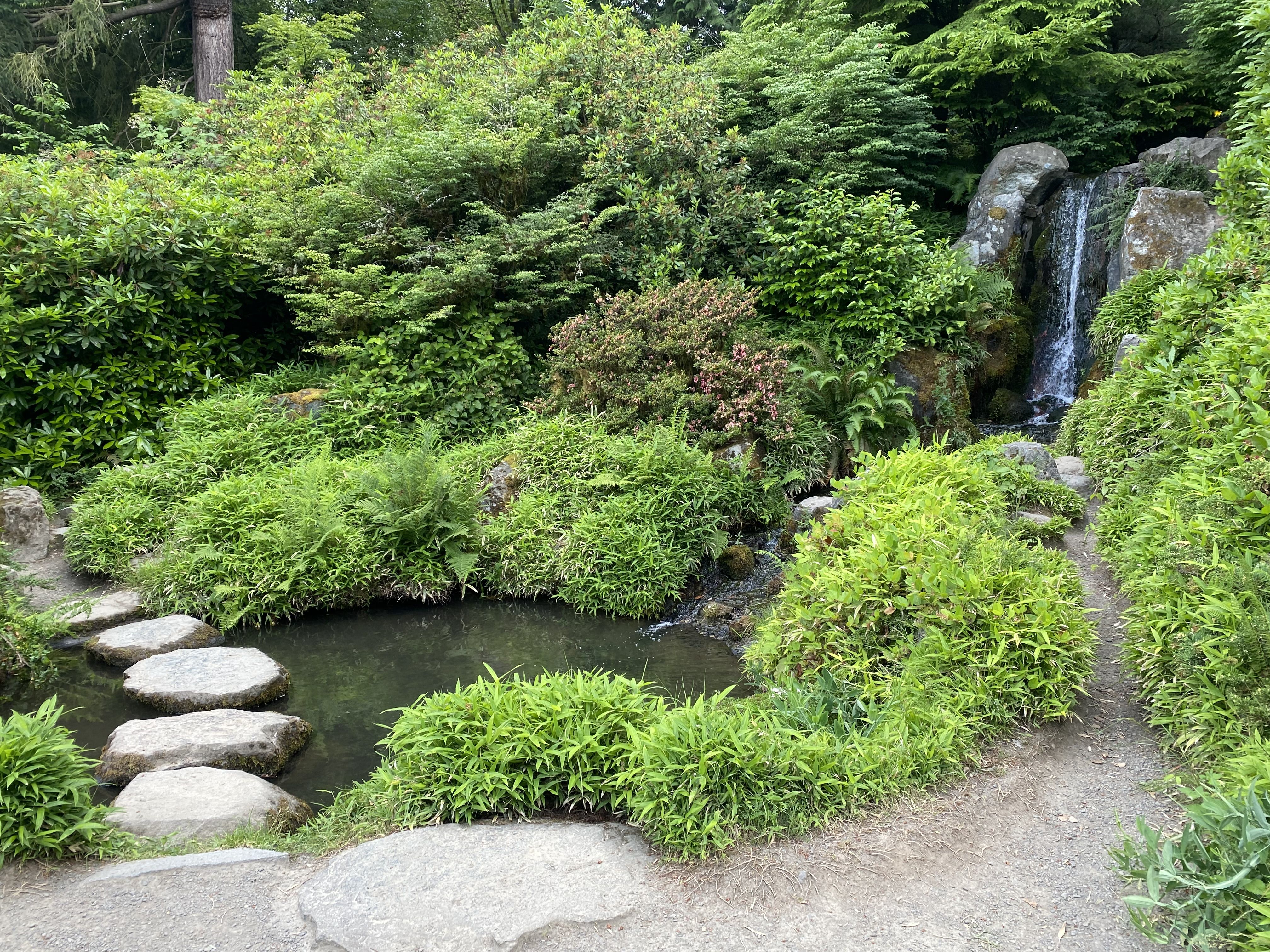 A waterfall amid carefully cultivated bushes and other plants, with a stone walkway over a pond.