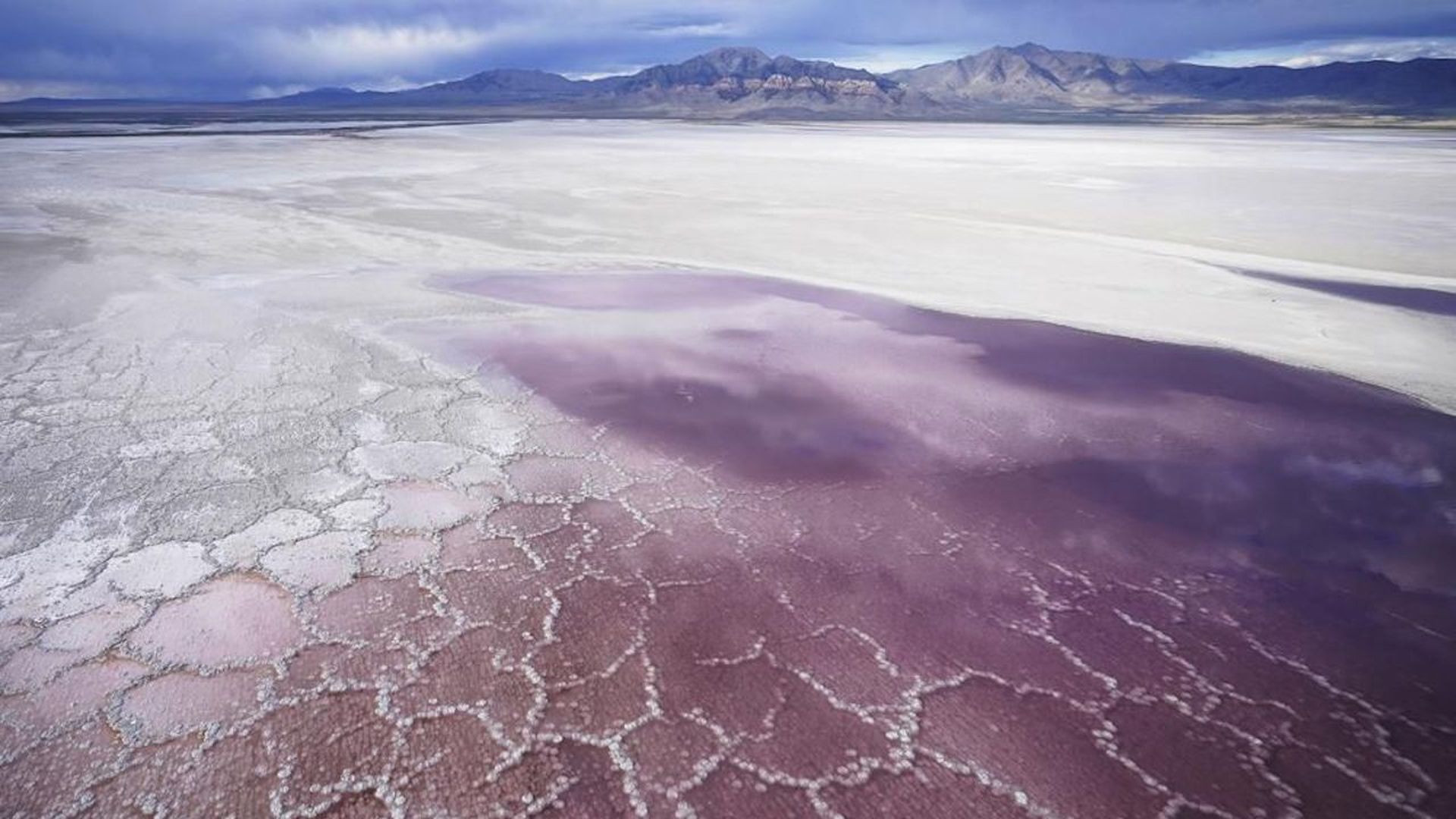 Pink water washes over a Great Salt Lake salt crust in May.