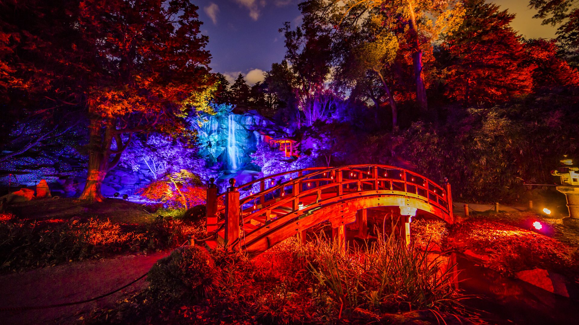 Night garden scene with a red wooden arched bridge, colorful lights on trees and rocks, a blue-lit waterfall feature, reflections in the water, and a dark sky with clouds.