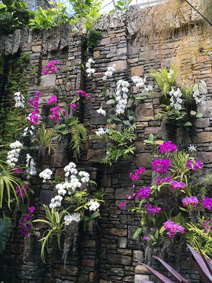 Daniel Stowe Orchid House